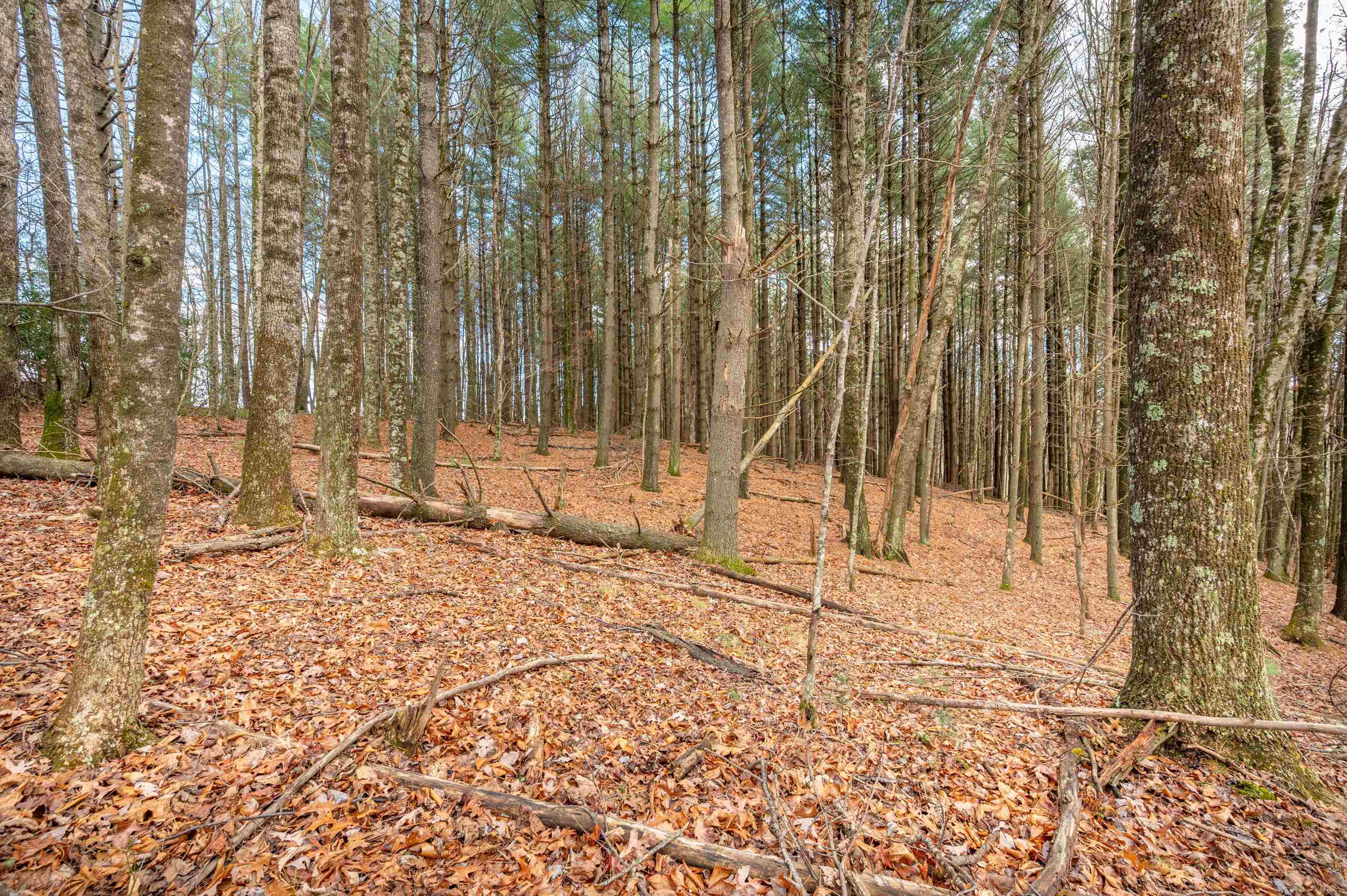 Tbd R-way Drive Hillsville VA 24343