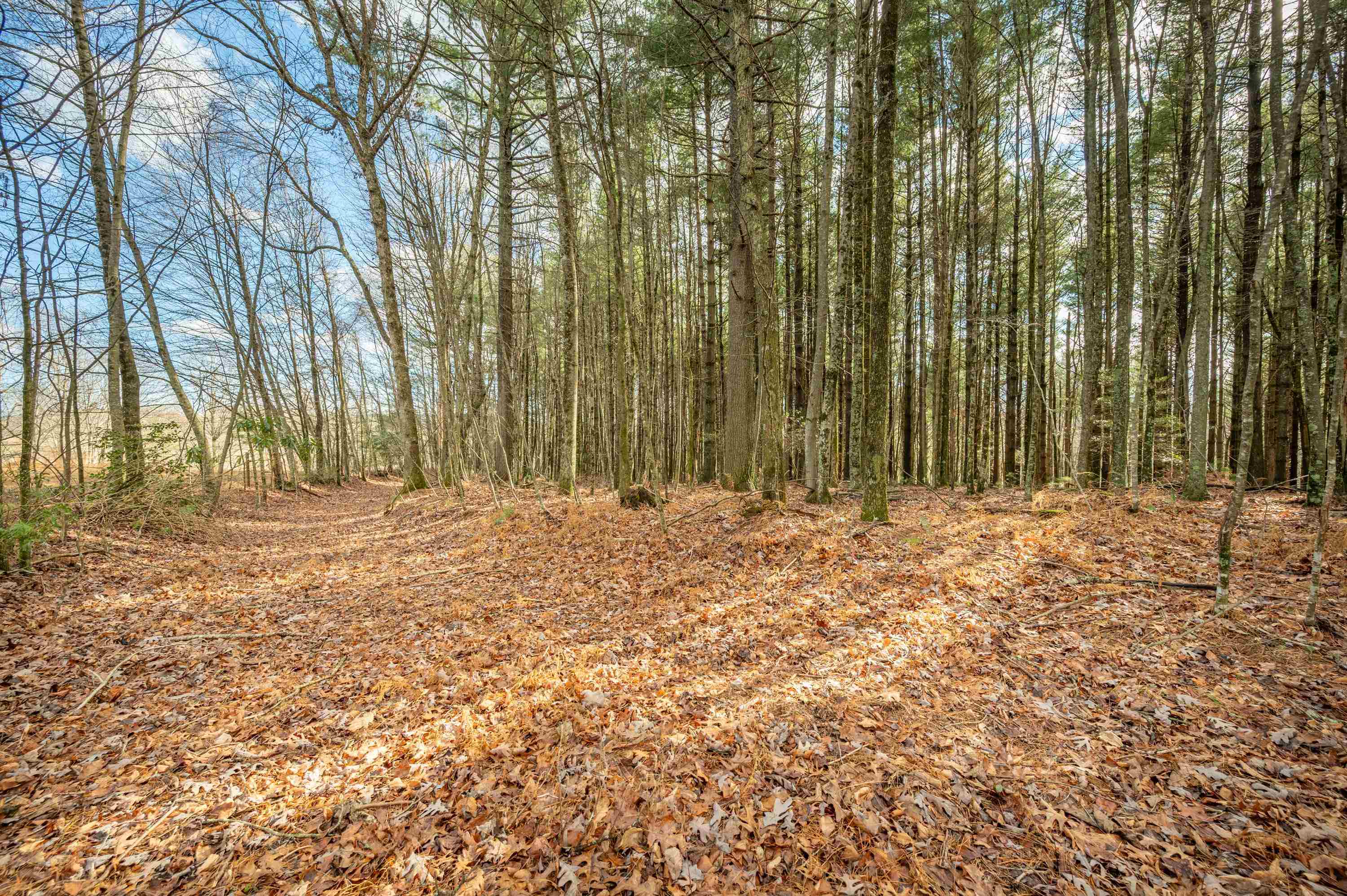 Tbd R-way Drive Hillsville VA 24343