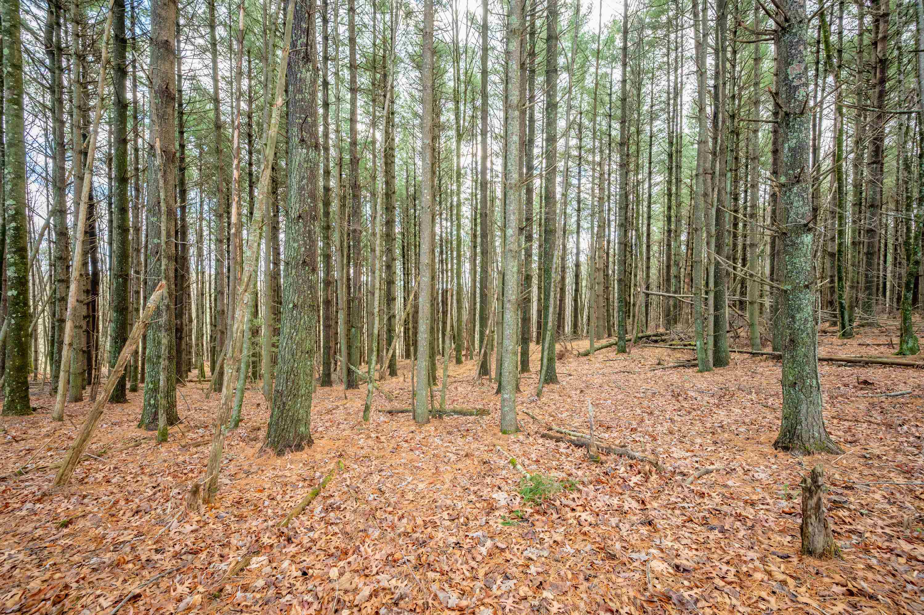 Tbd R-way Drive Hillsville VA 24343