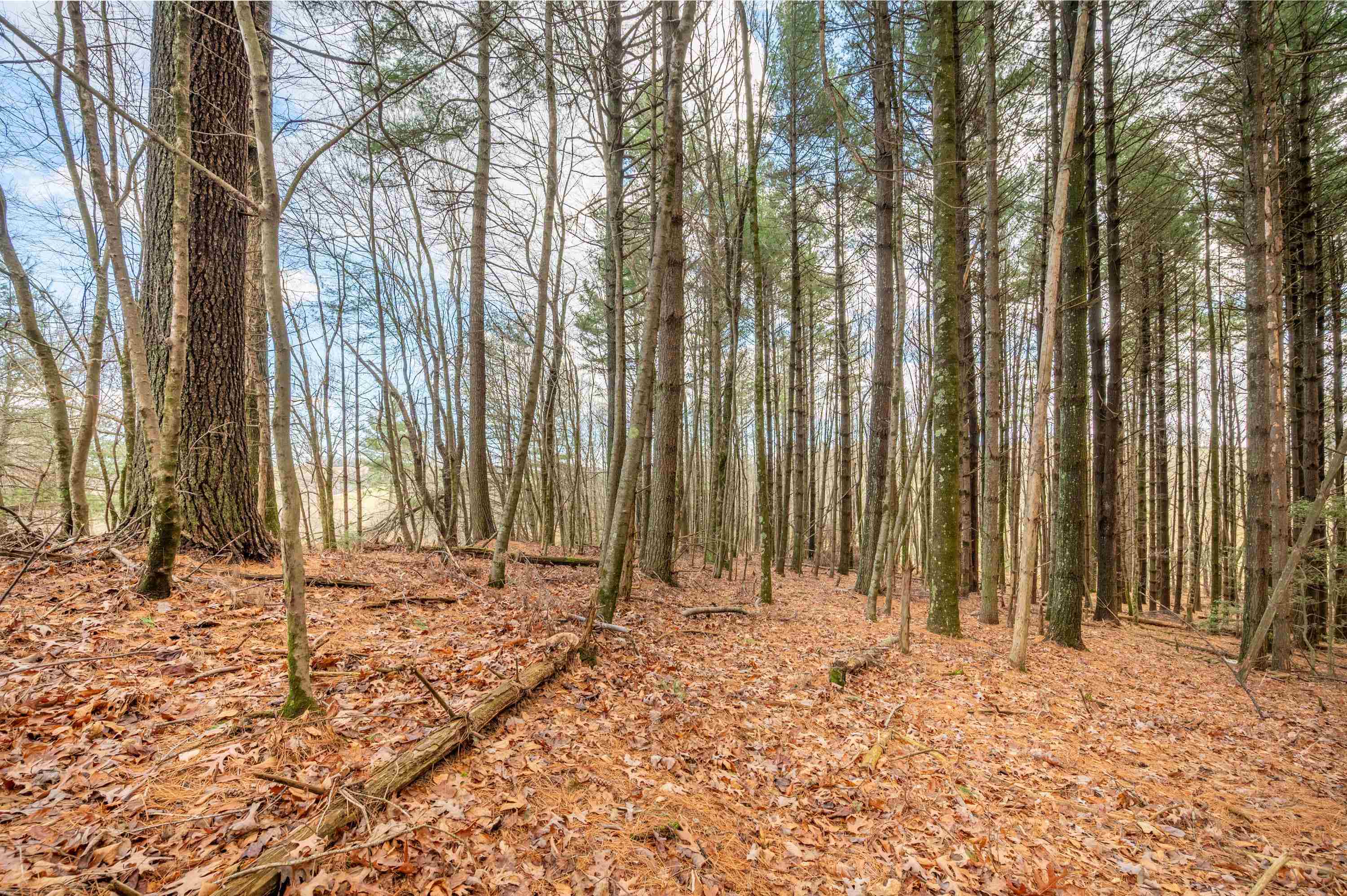 Tbd R-way Drive Hillsville VA 24343