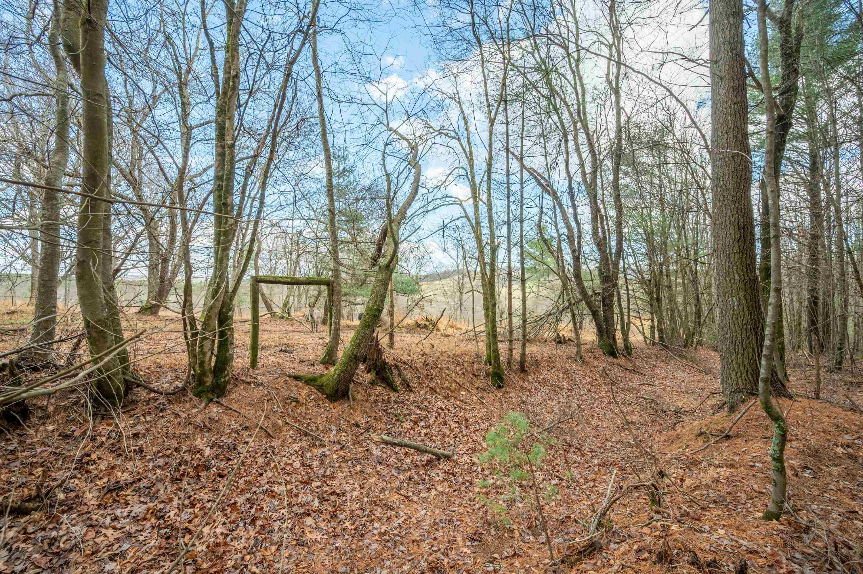 Tbd R-way Drive Hillsville VA 24343