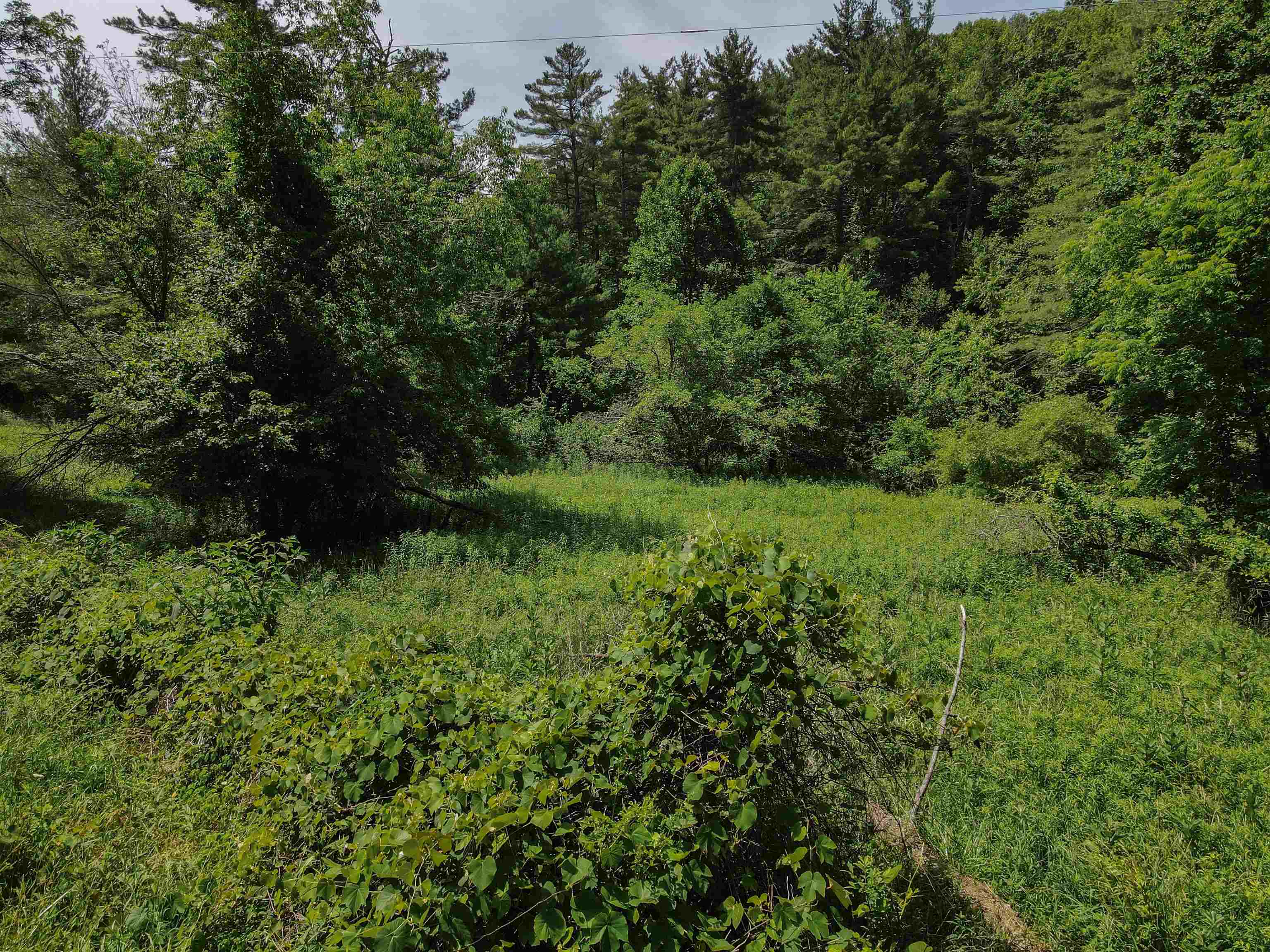 Tbd Kings Store Road NE Floyd VA 24091