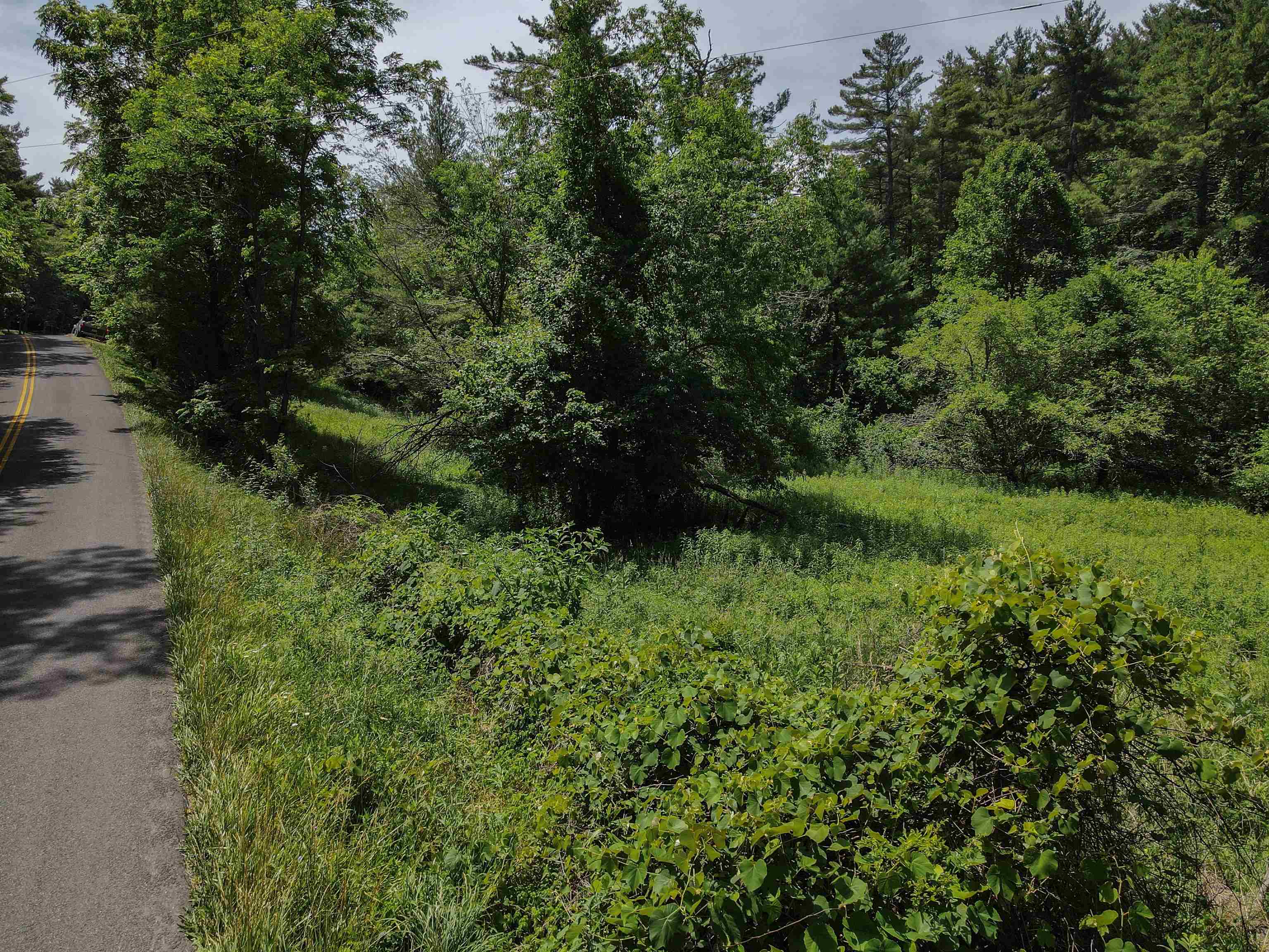 Tbd Kings Store Road NE Floyd VA 24091