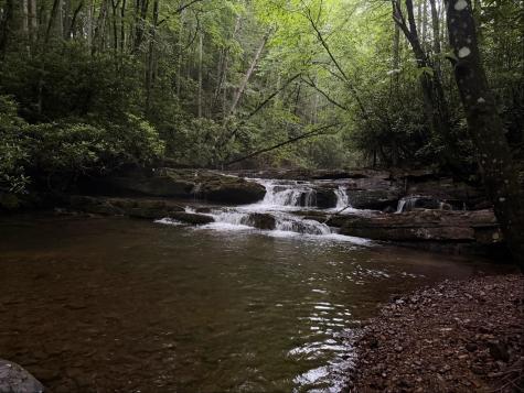 TBD Cove Creek Road Bastian VA 24314