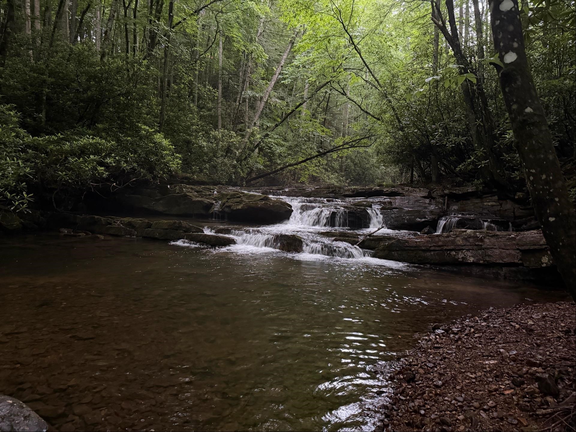 Tbd Cove Creek Road Bastian VA 24314