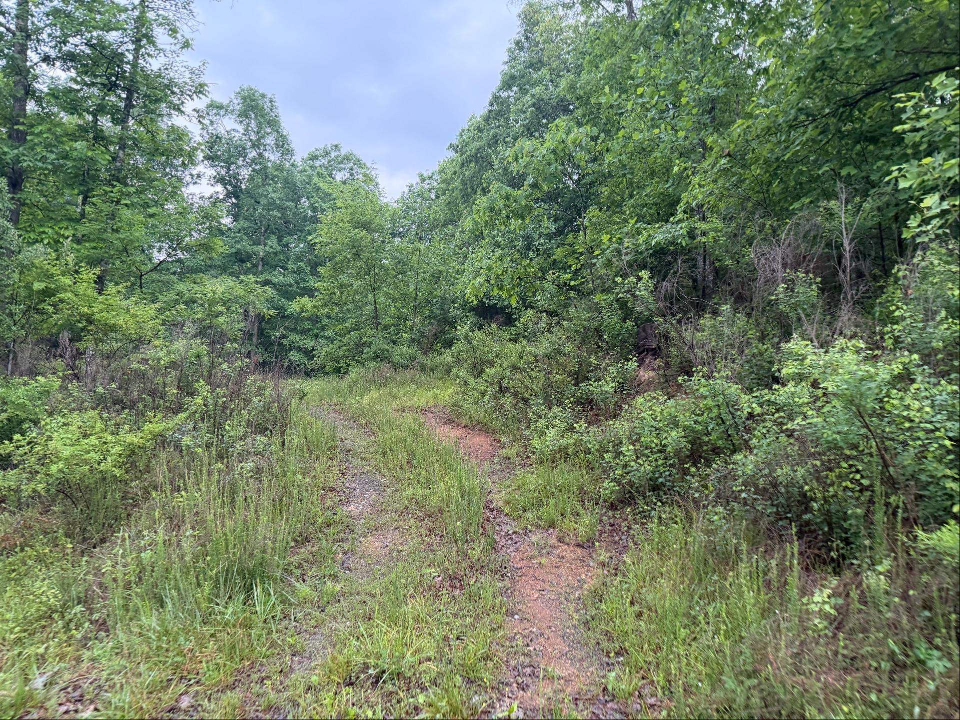 Tbd Cove Creek Road Bastian VA 24314