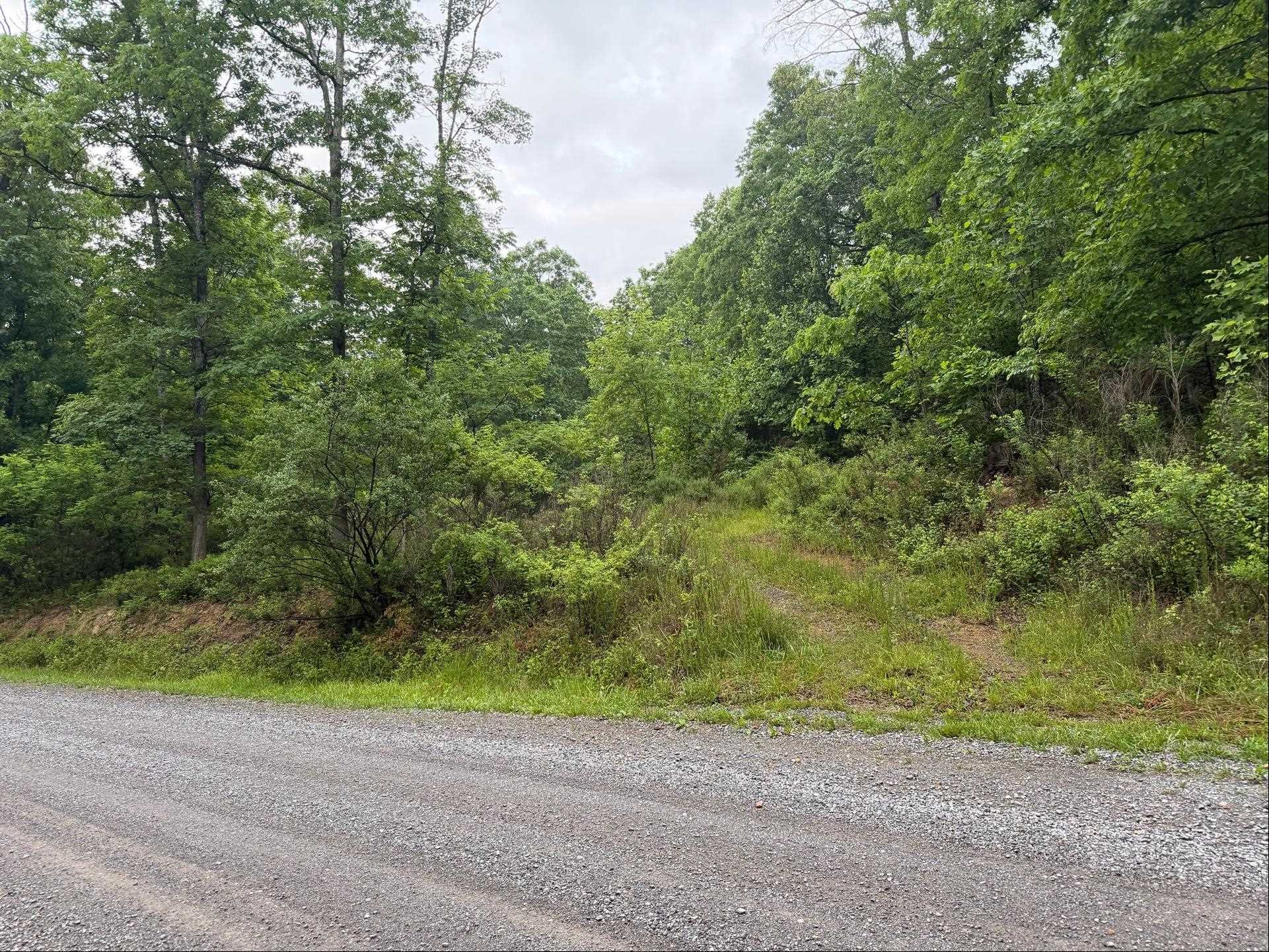 Tbd Cove Creek Road Bastian VA 24314
