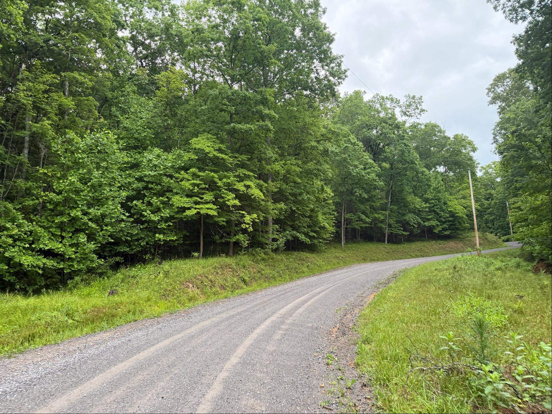 Tbd Cove Creek Road Bastian VA 24314