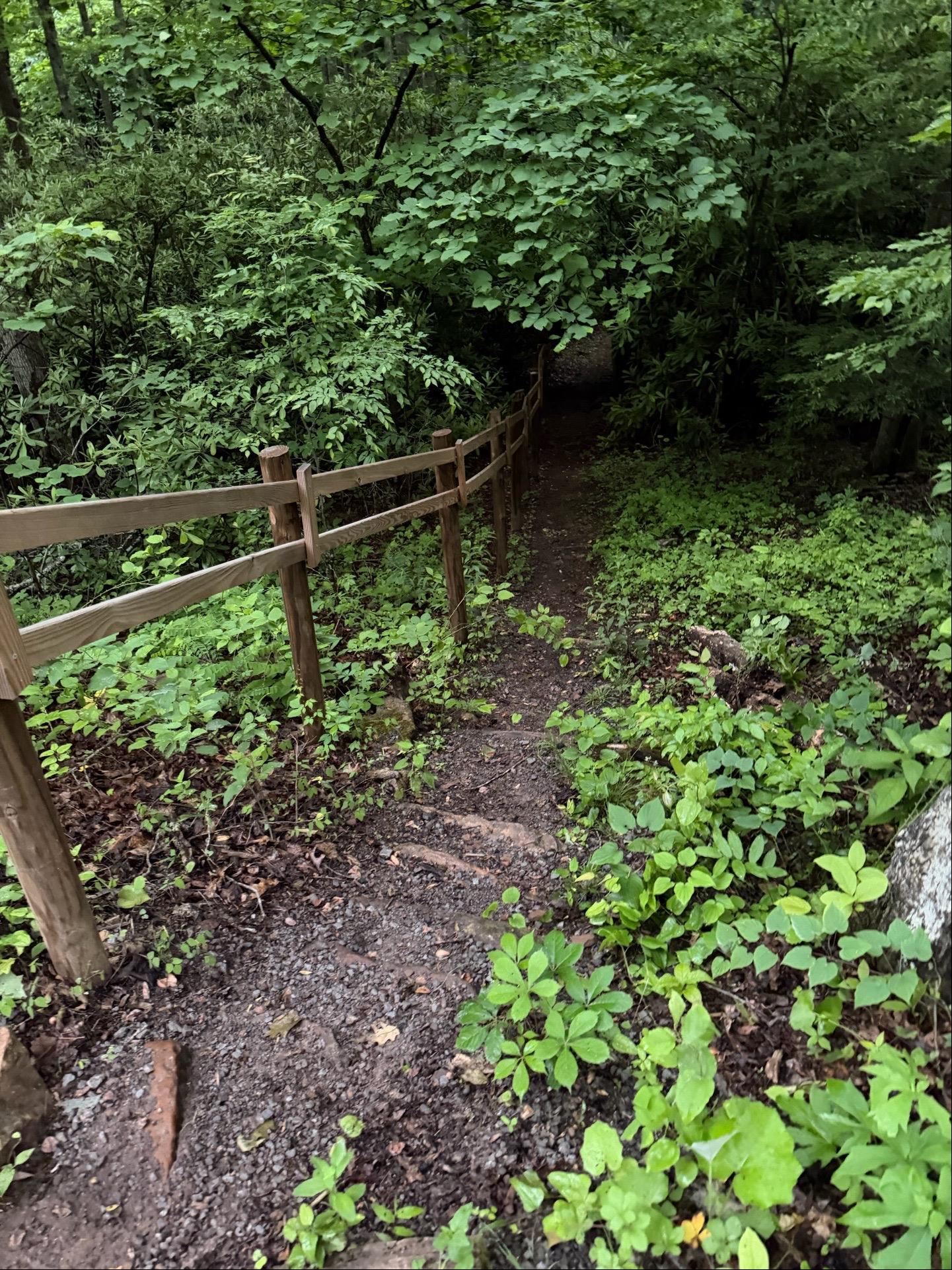 Tbd Cove Creek Road Bastian VA 24314