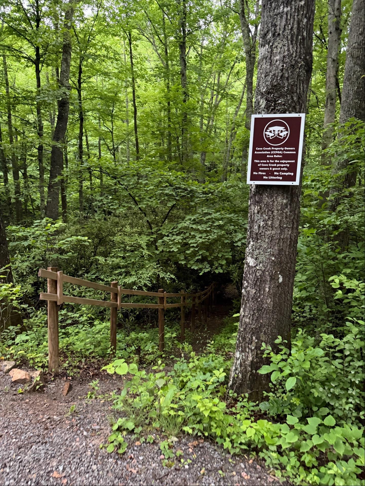Tbd Cove Creek Road Bastian VA 24314