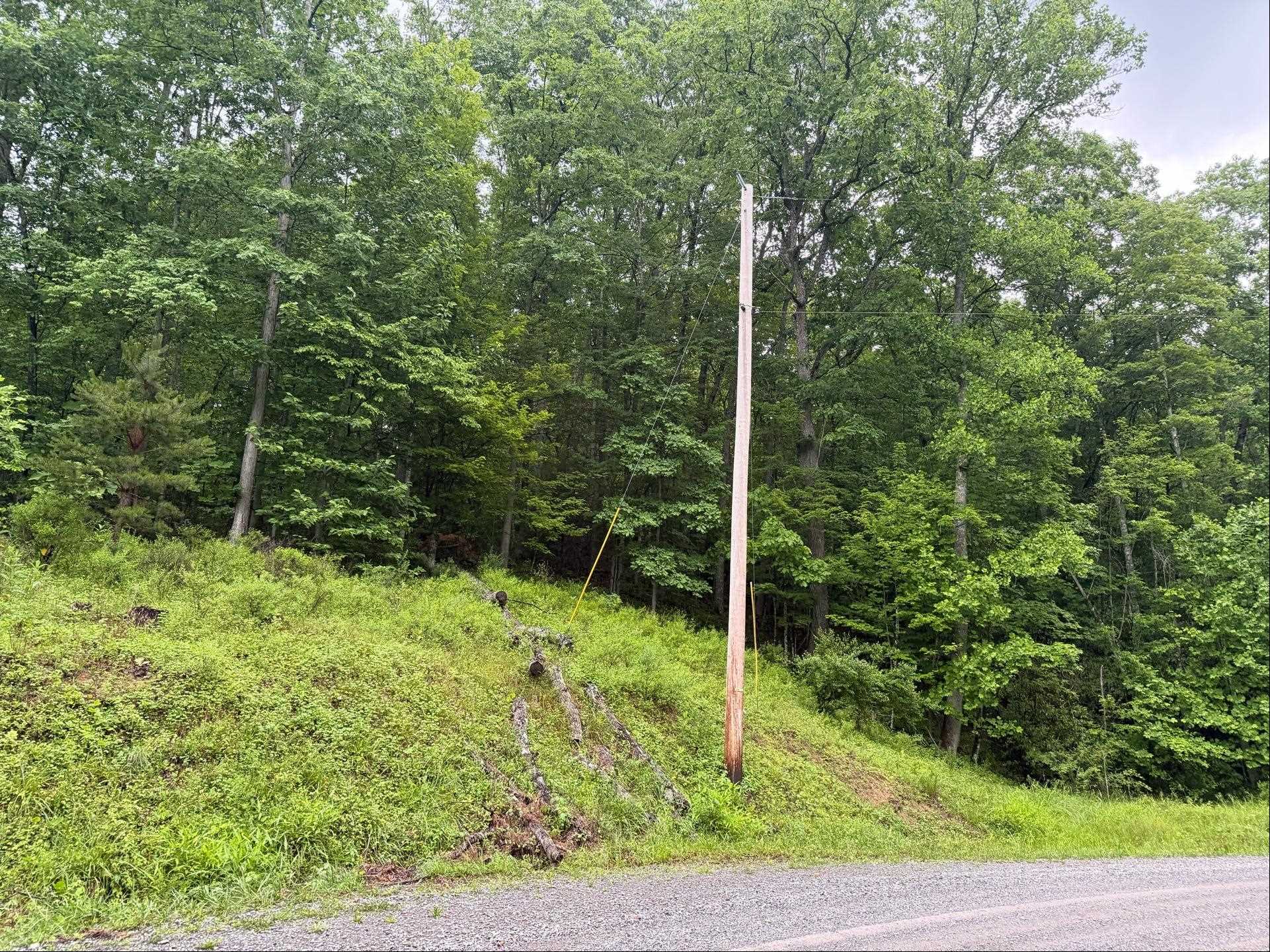 Tbd Cove Creek Road Bastian VA 24314