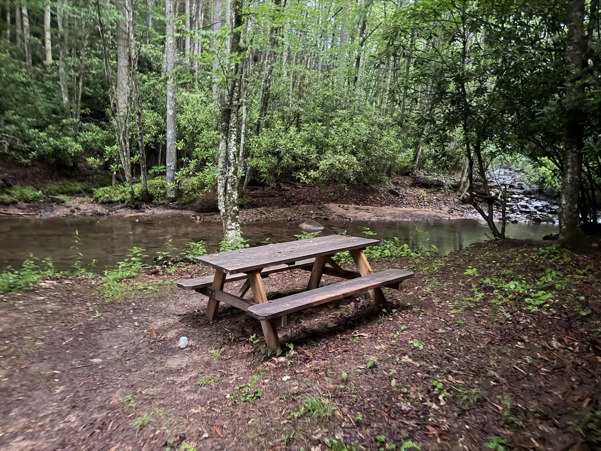 Tbd Cove Creek Road Bastian VA 24314