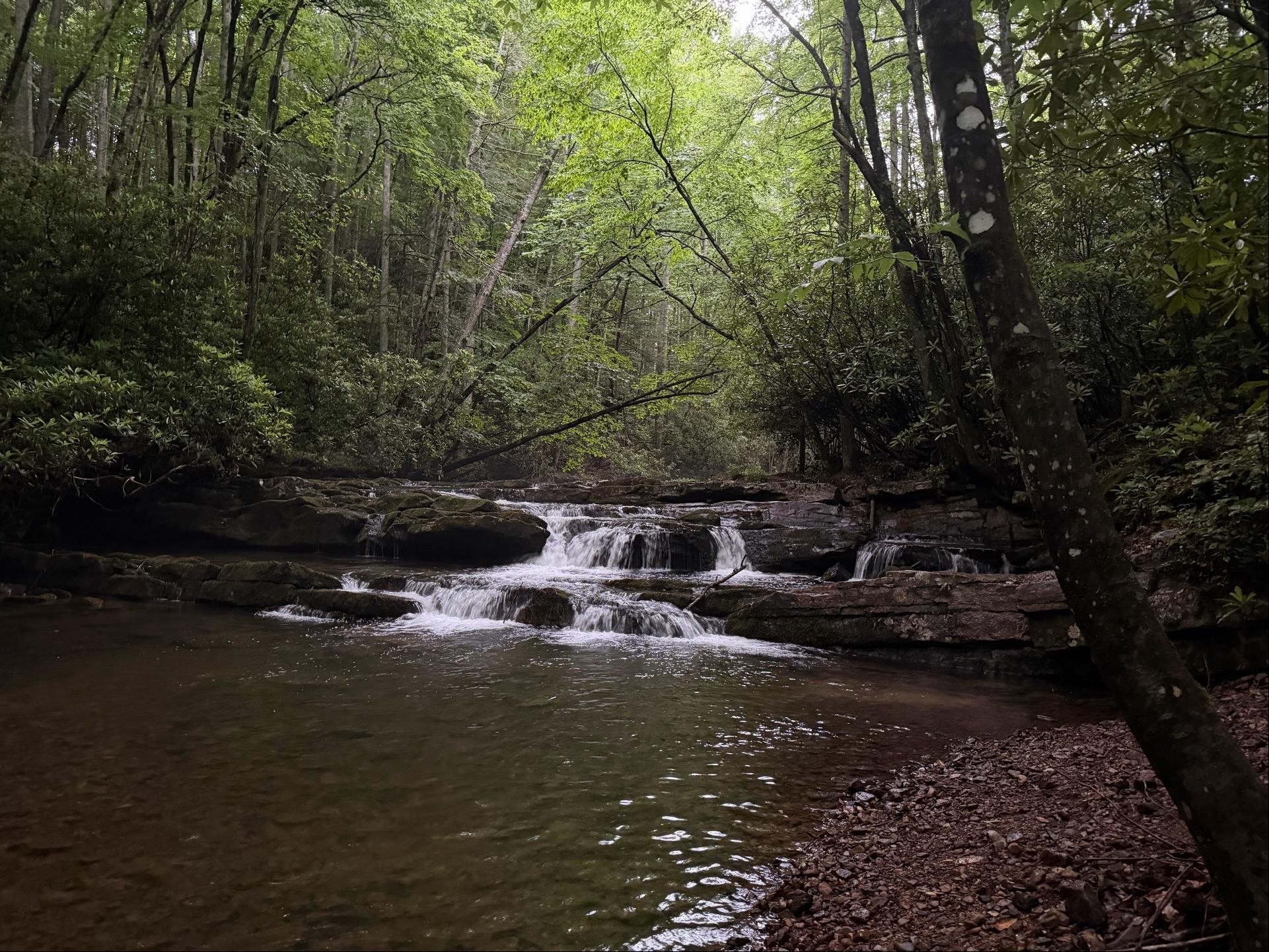 Tbd Cove Creek Road Bastian VA 24314