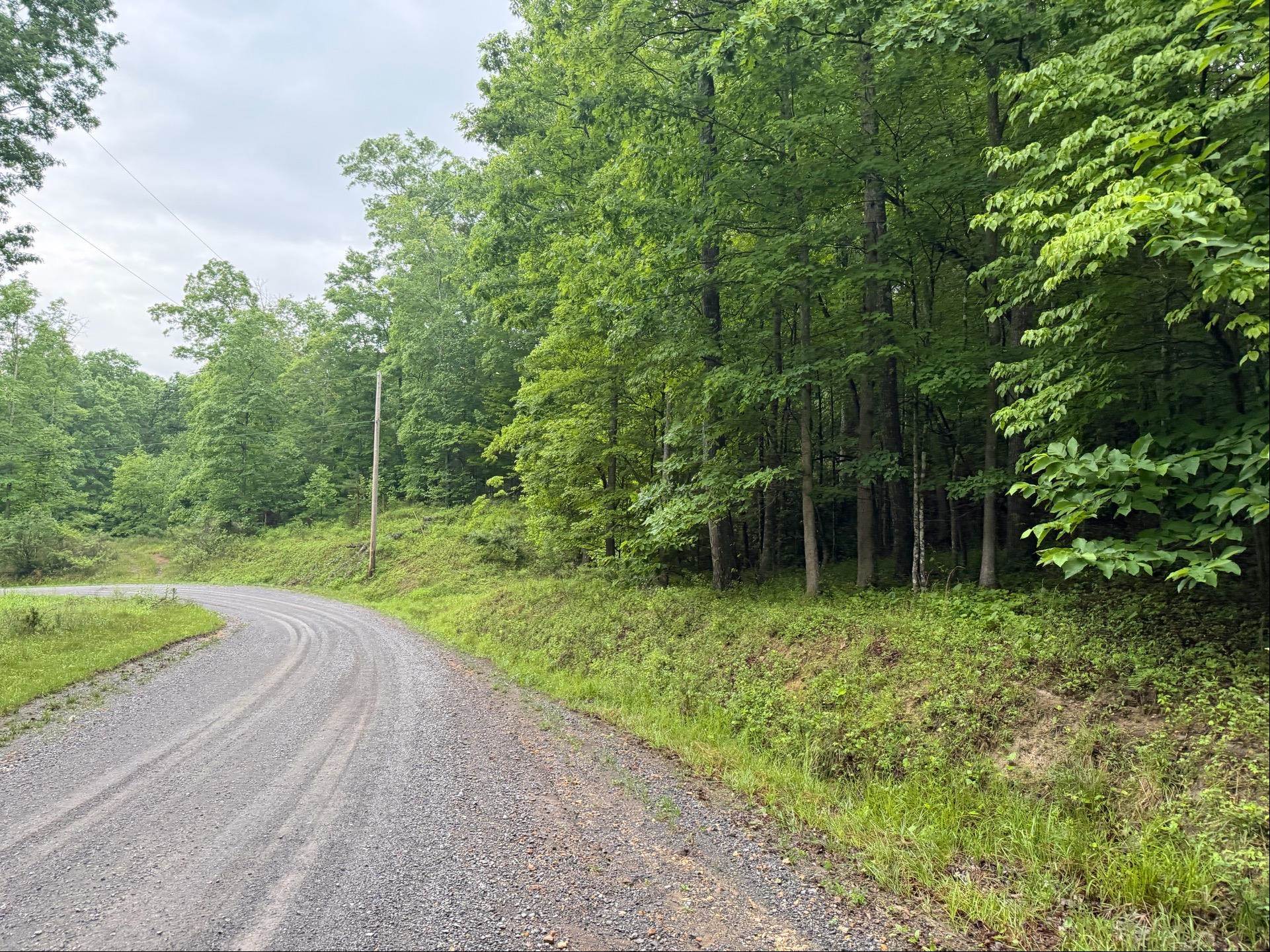 Tbd Cove Creek Road Bastian VA 24314