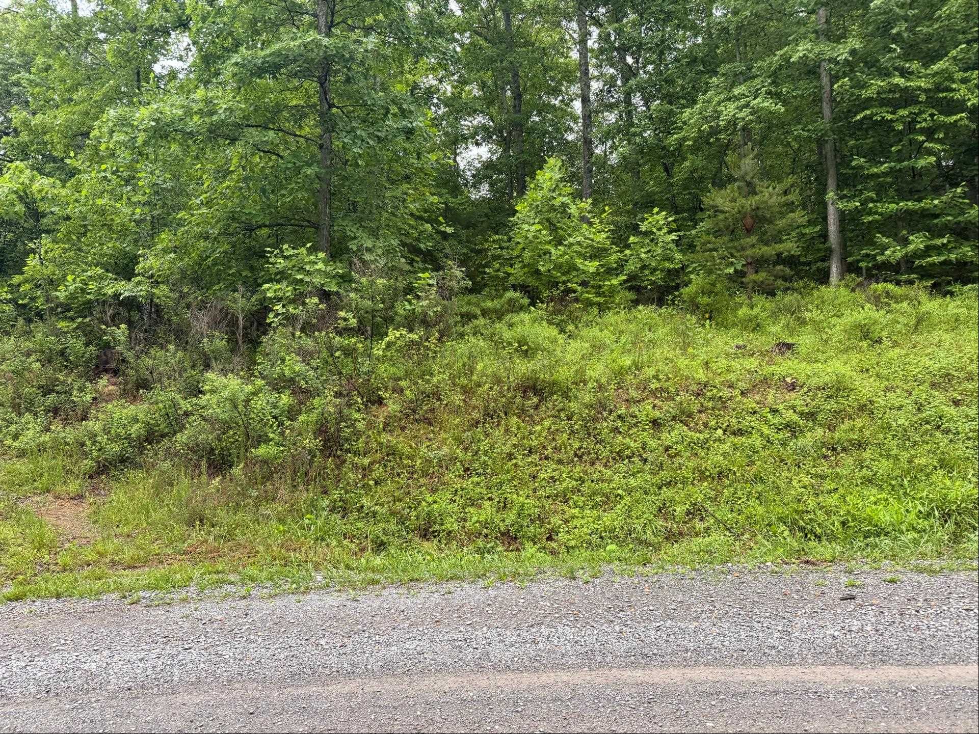 Tbd Cove Creek Road Bastian VA 24314