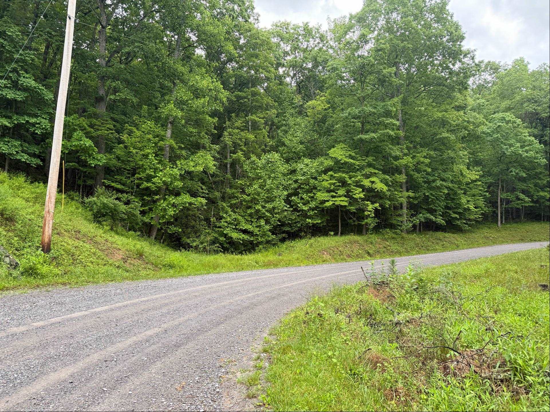 Tbd Cove Creek Road Bastian VA 24314