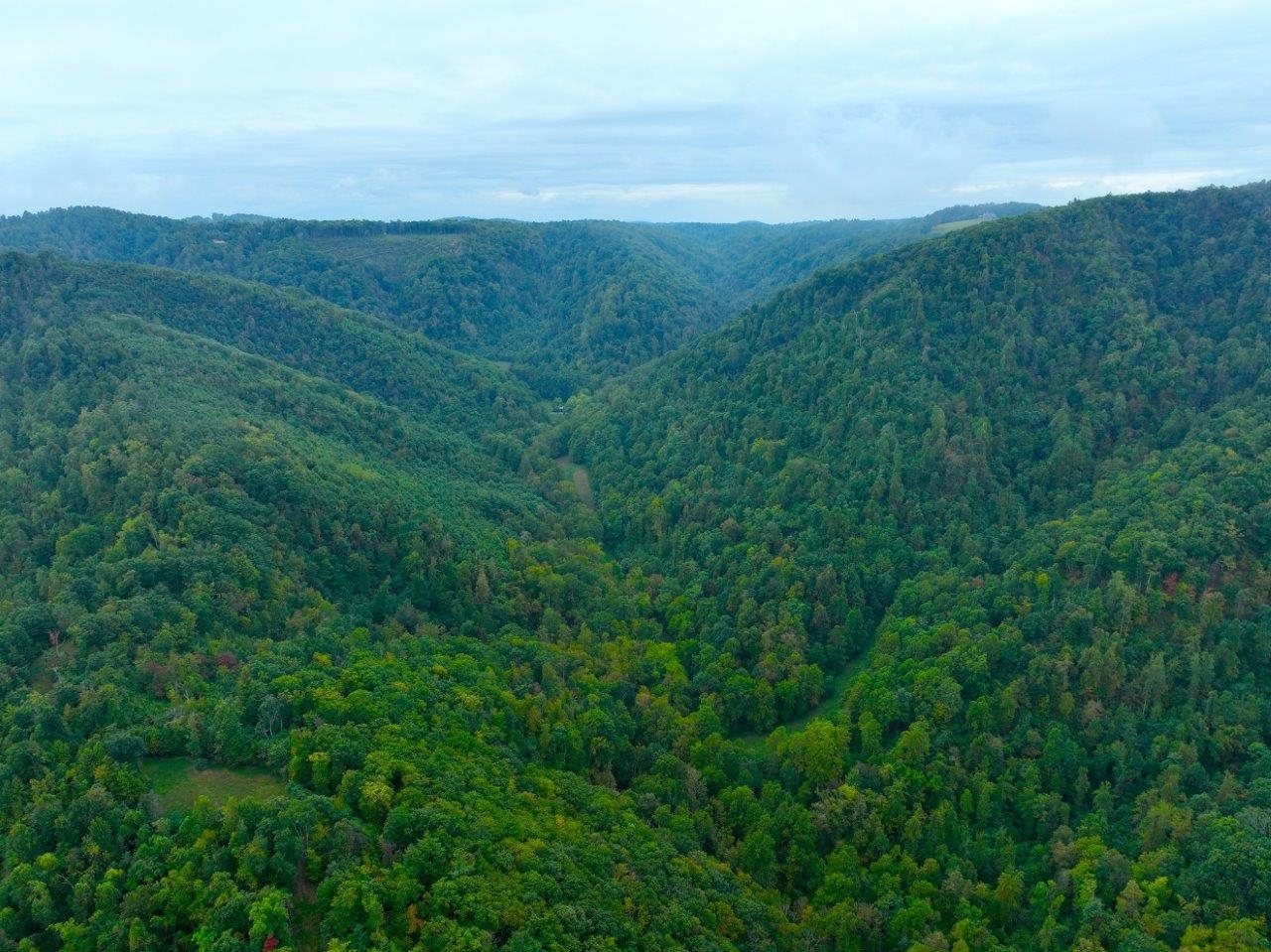 0 Foothills Road Callaway VA 24067