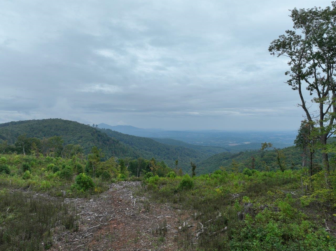 0 Foothills Road Callaway VA 24067