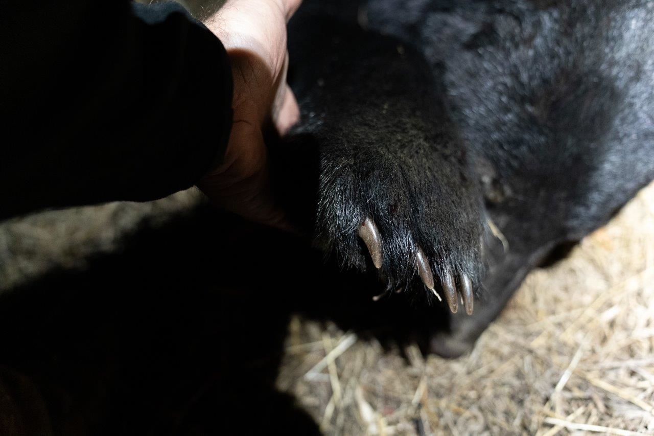 0 Foothills Road Callaway VA 24067