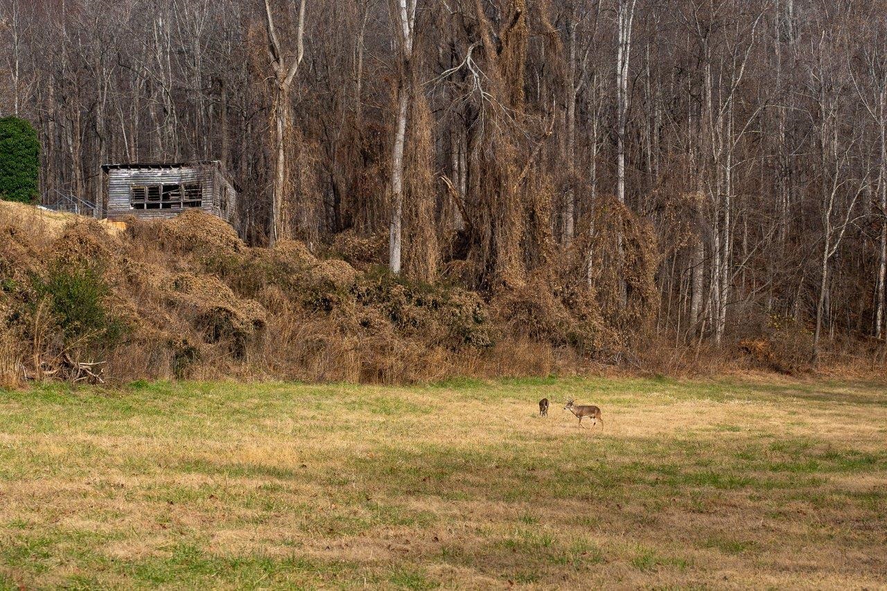 0 Foothills Road Callaway VA 24067