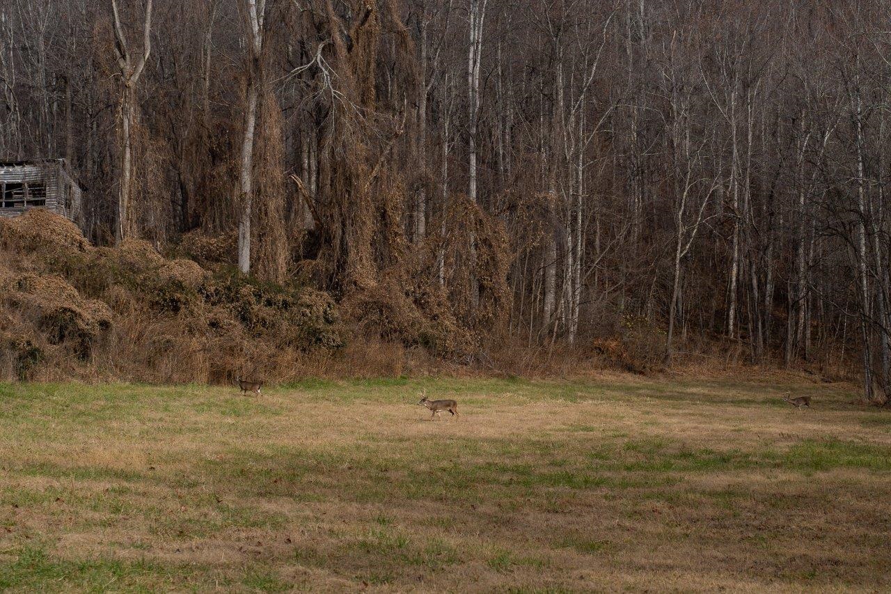 0 Foothills Road Callaway VA 24067