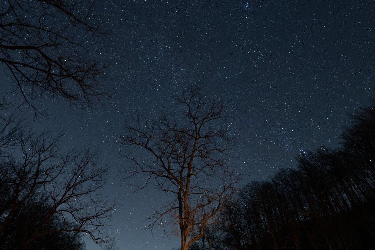 0 Foothills Road Callaway VA 24067