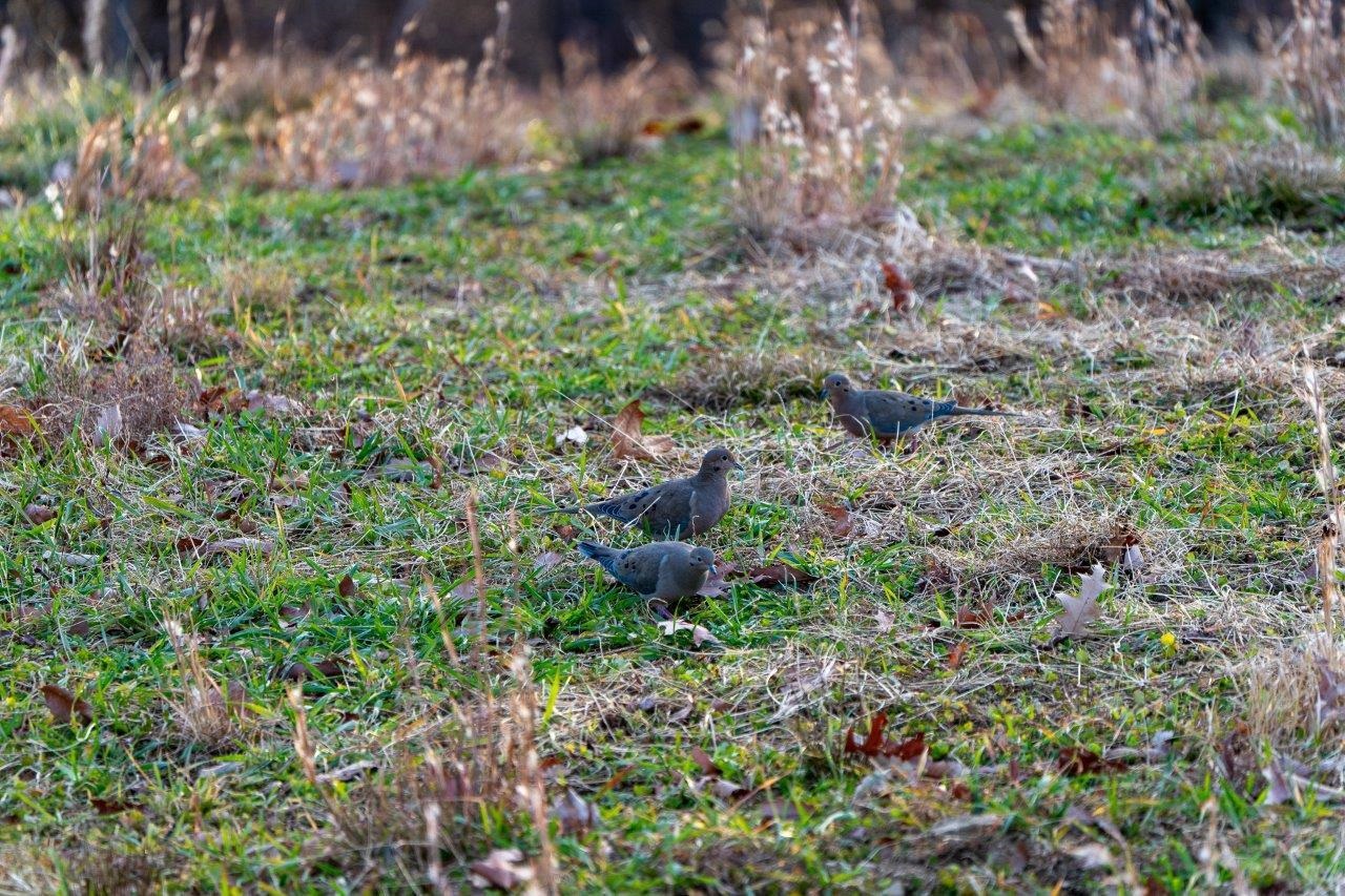 0 Foothills Road Callaway VA 24067