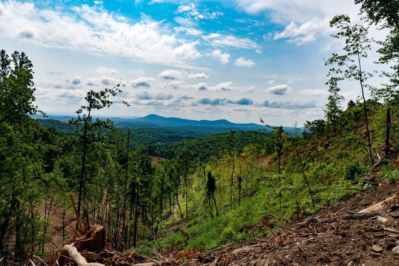 0 Foothills Road Callaway VA 24067