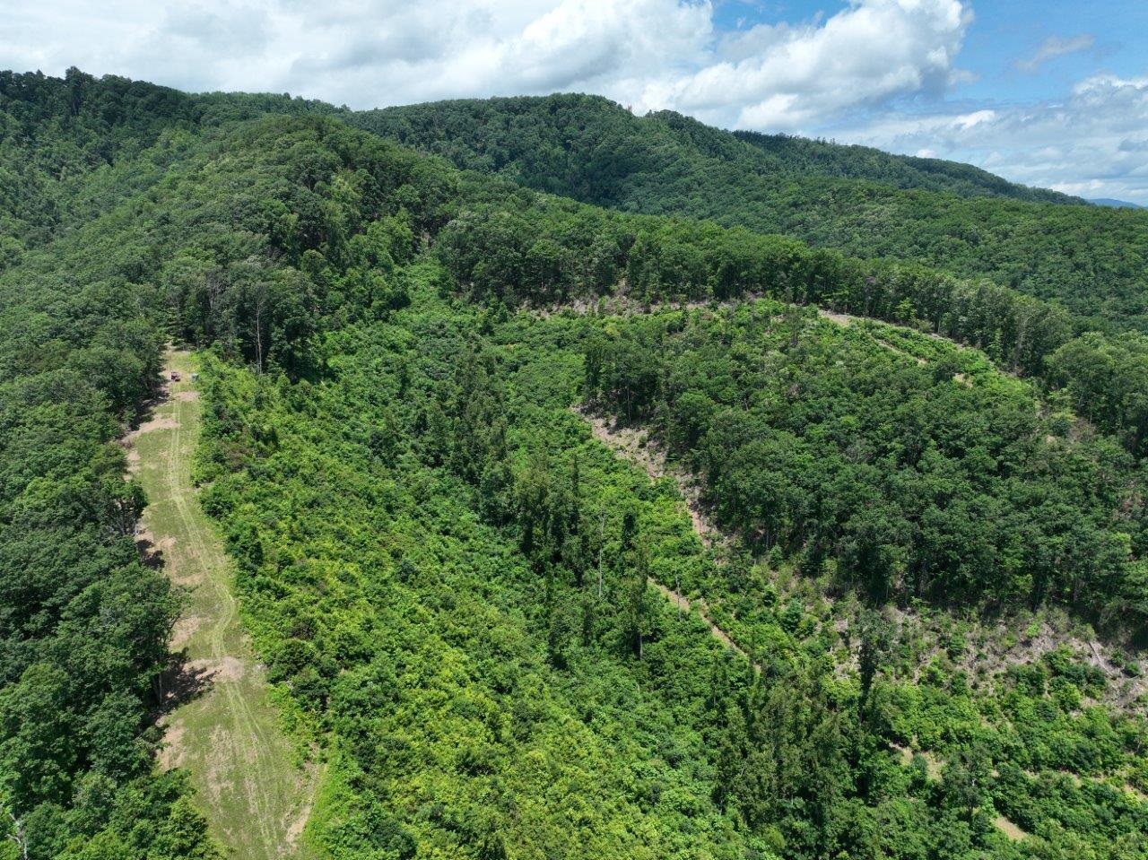 0 Foothills Road Callaway VA 24067