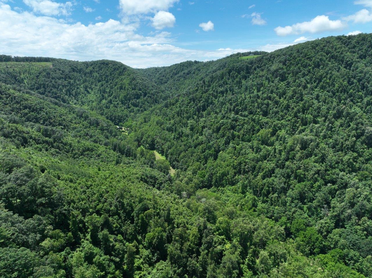 0 Foothills Road Callaway VA 24067