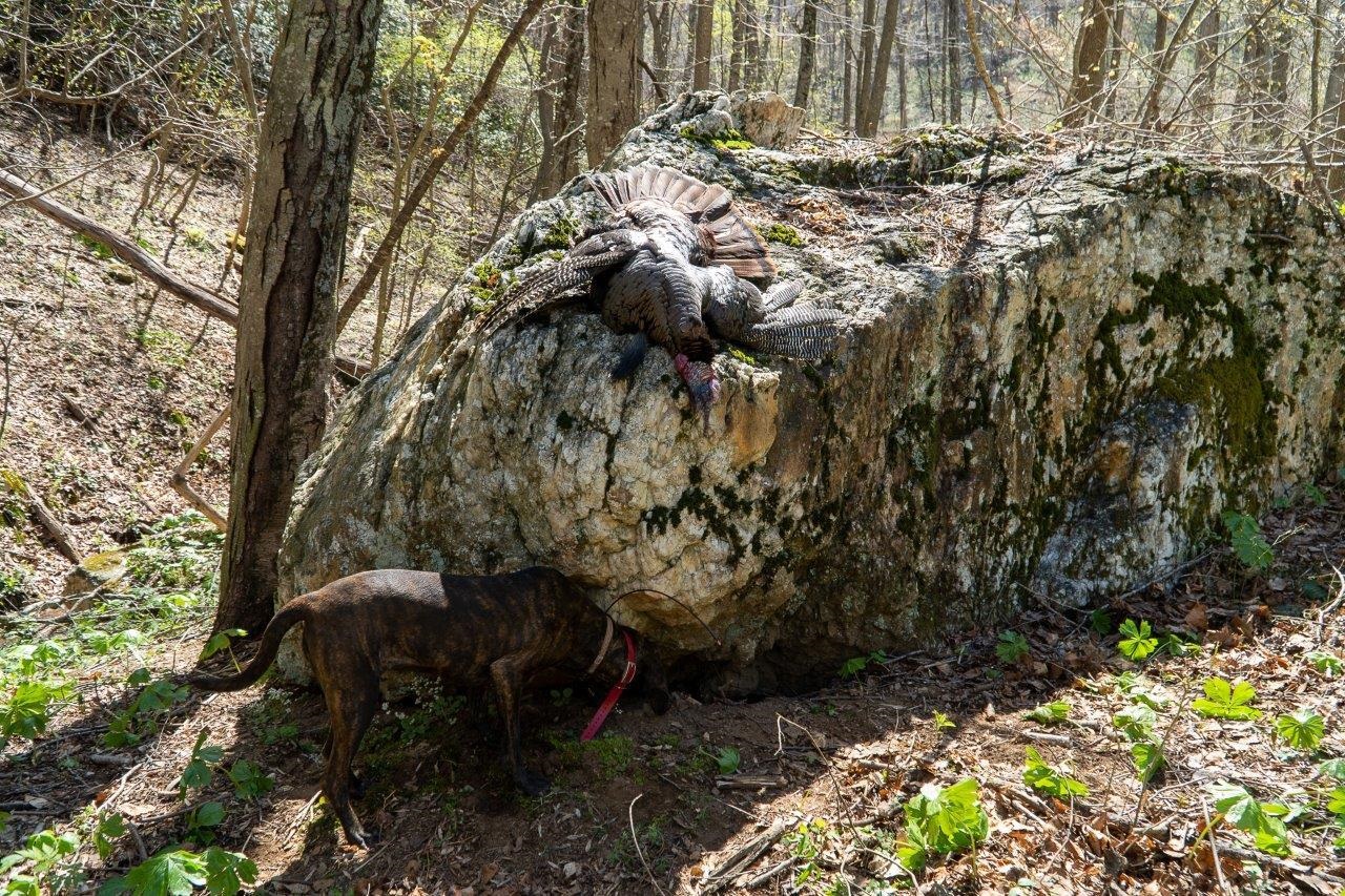 0 Foothills Road Callaway VA 24067