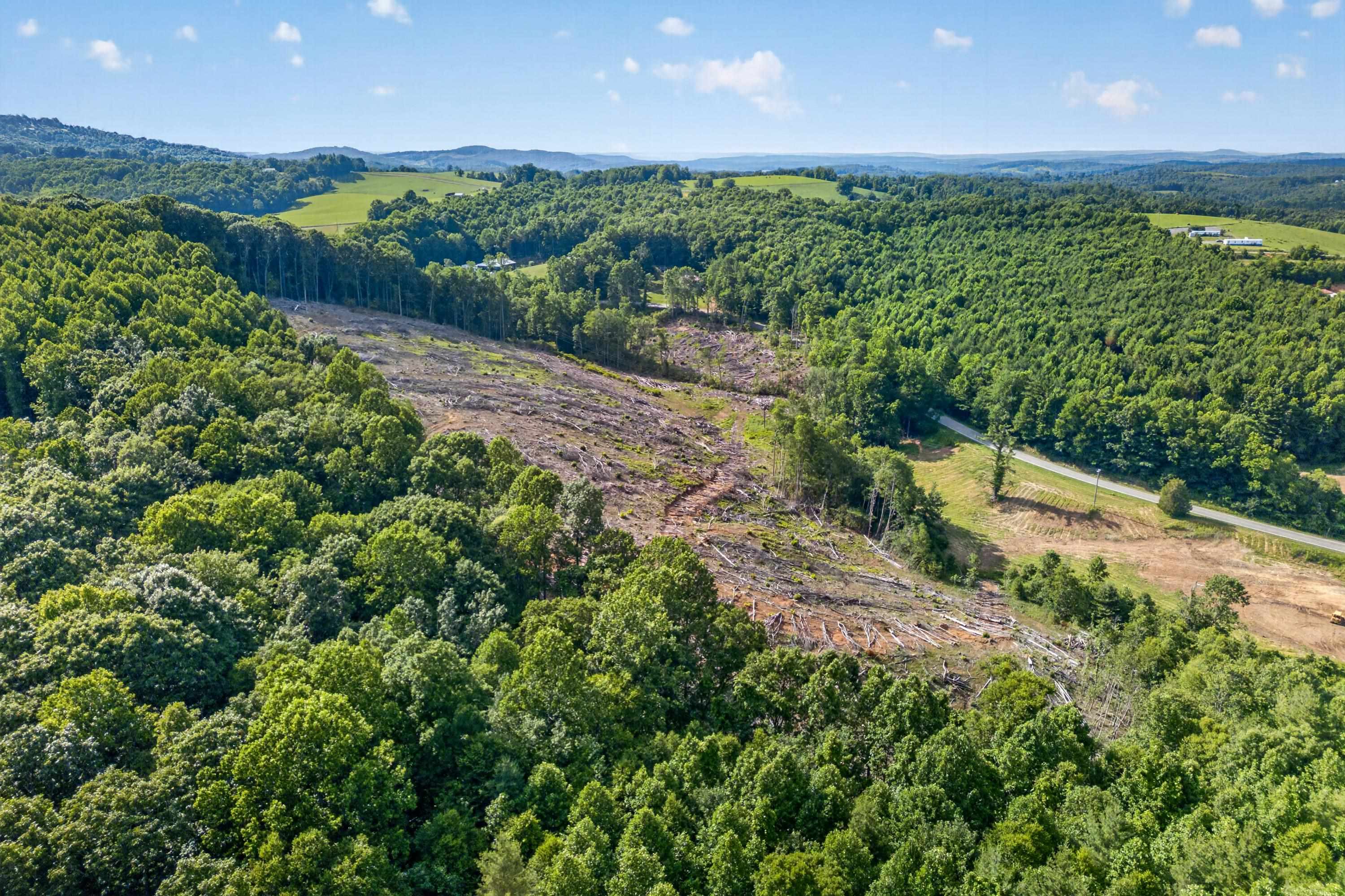 6196 Chances Creek Road Fancy Gap VA 24328