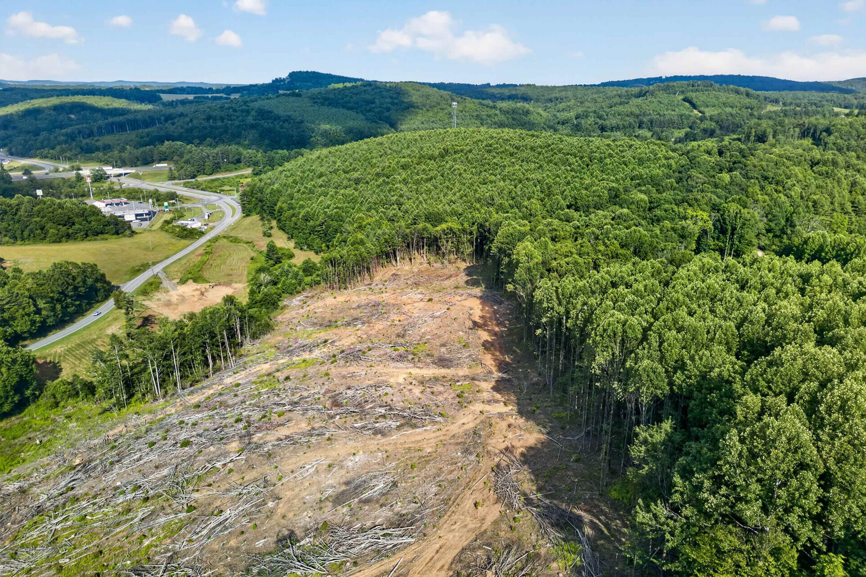 6196 Chances Creek Road Fancy Gap VA 24328