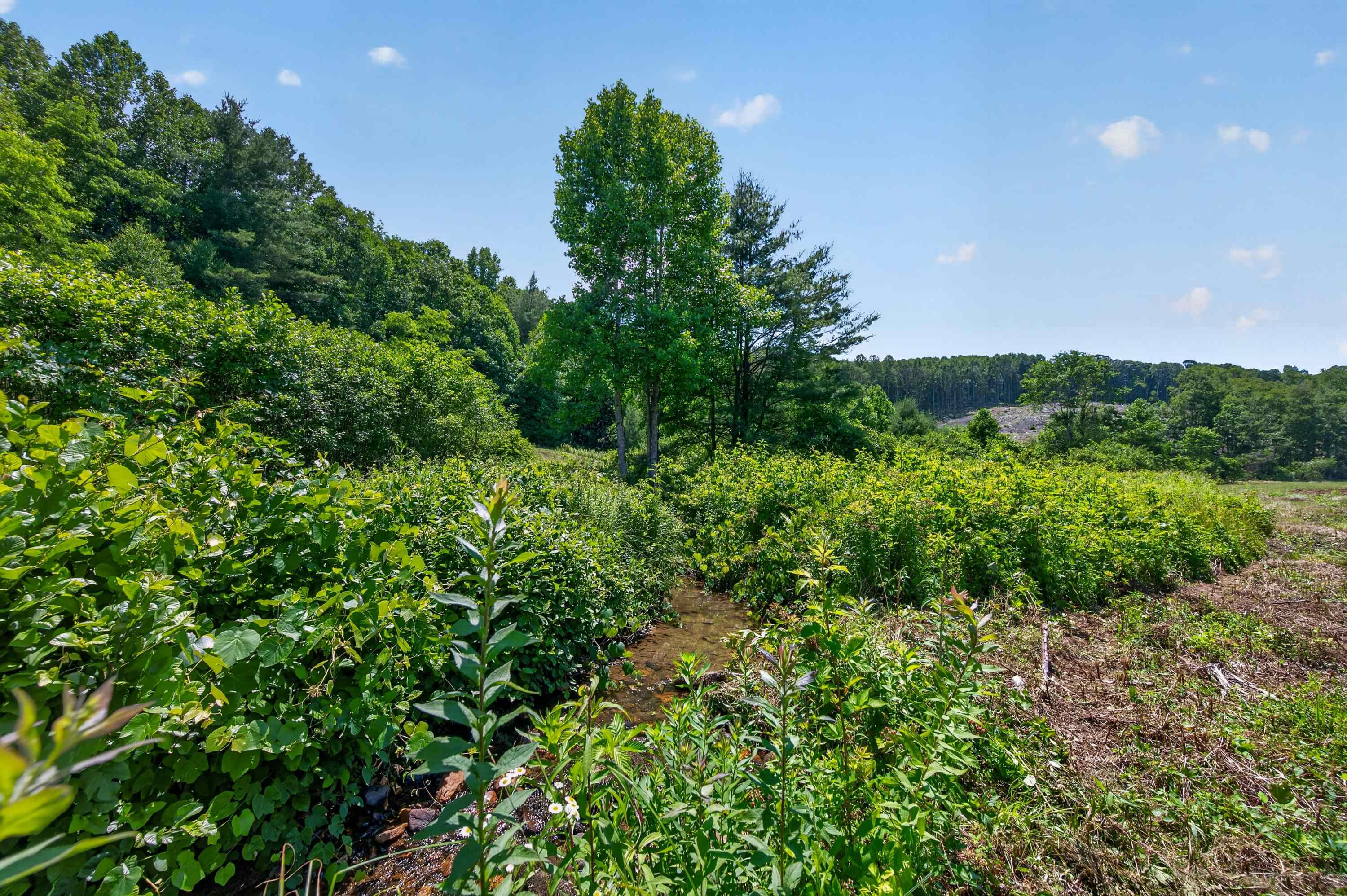 6196 Chances Creek Road Fancy Gap VA 24328