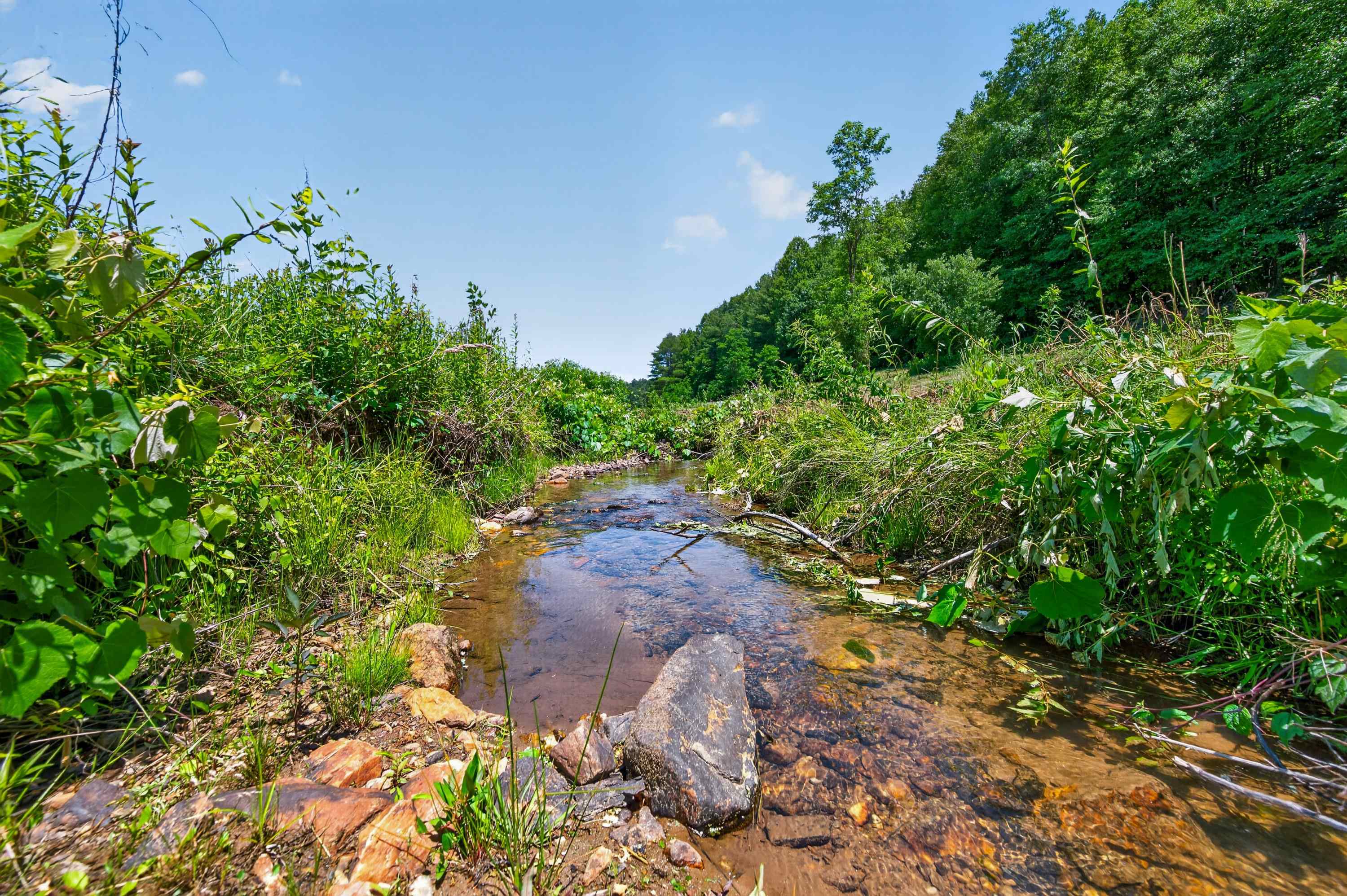 6196 Chances Creek Road Fancy Gap VA 24328