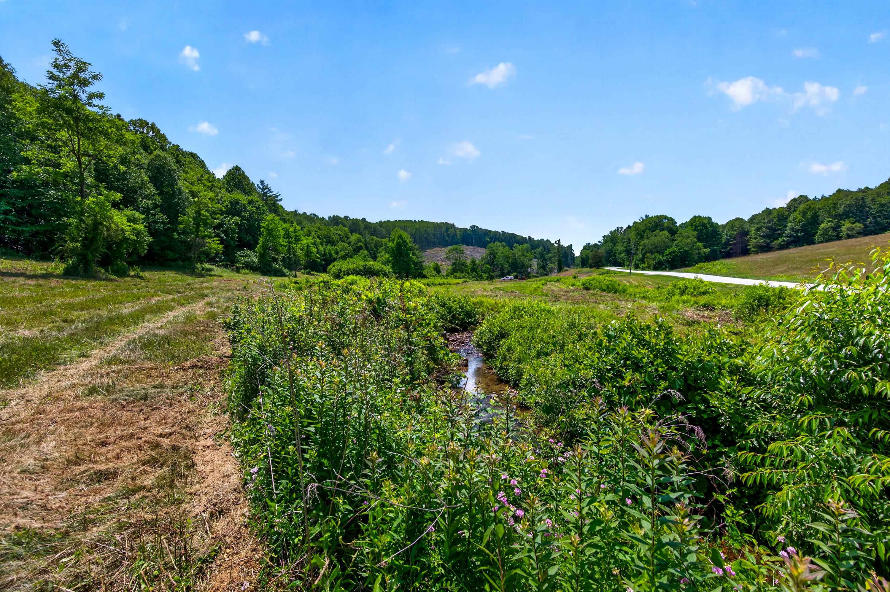 6196 Chances Creek Road Fancy Gap VA 24328