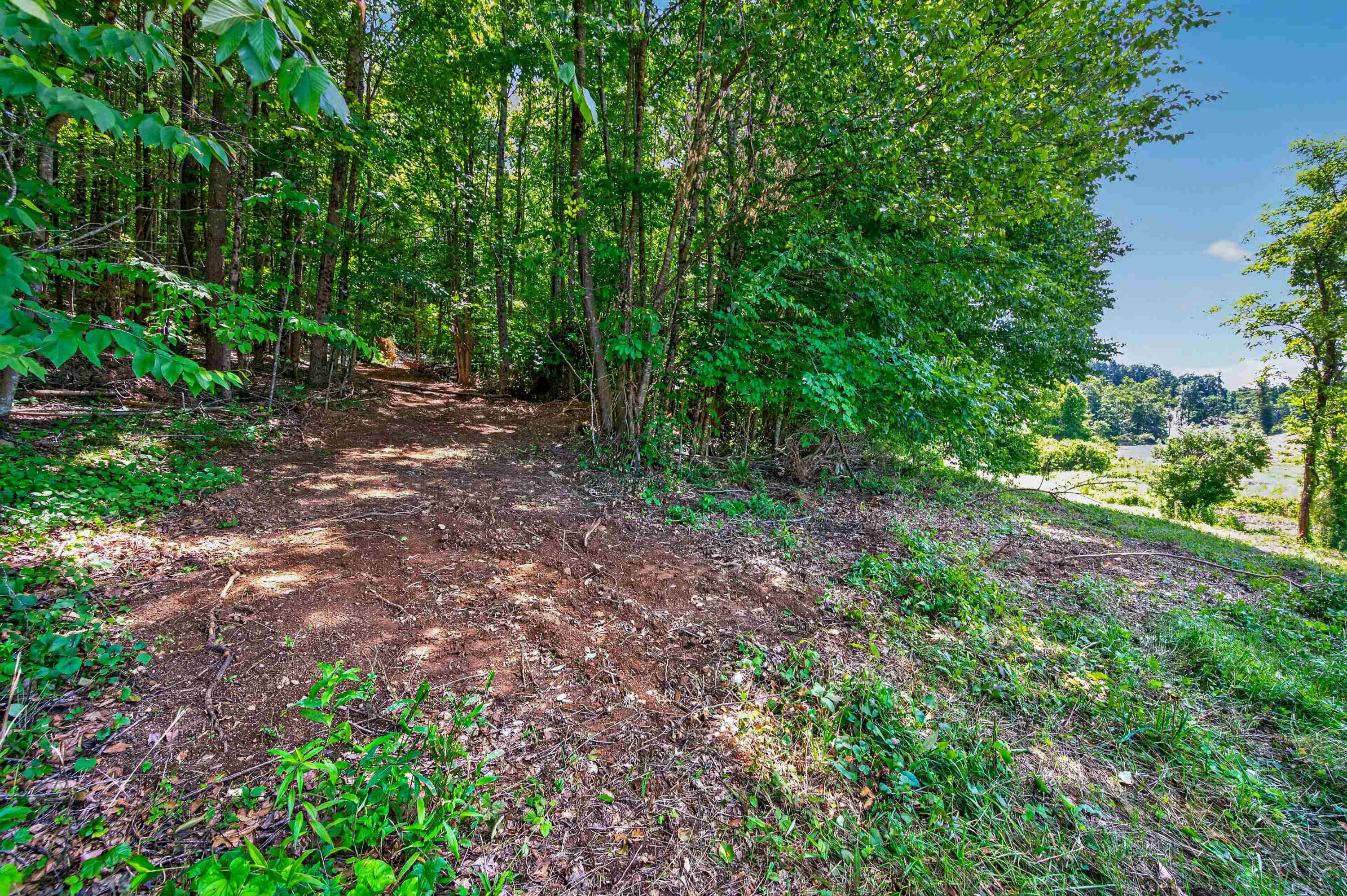 6196 Chances Creek Road Fancy Gap VA 24328