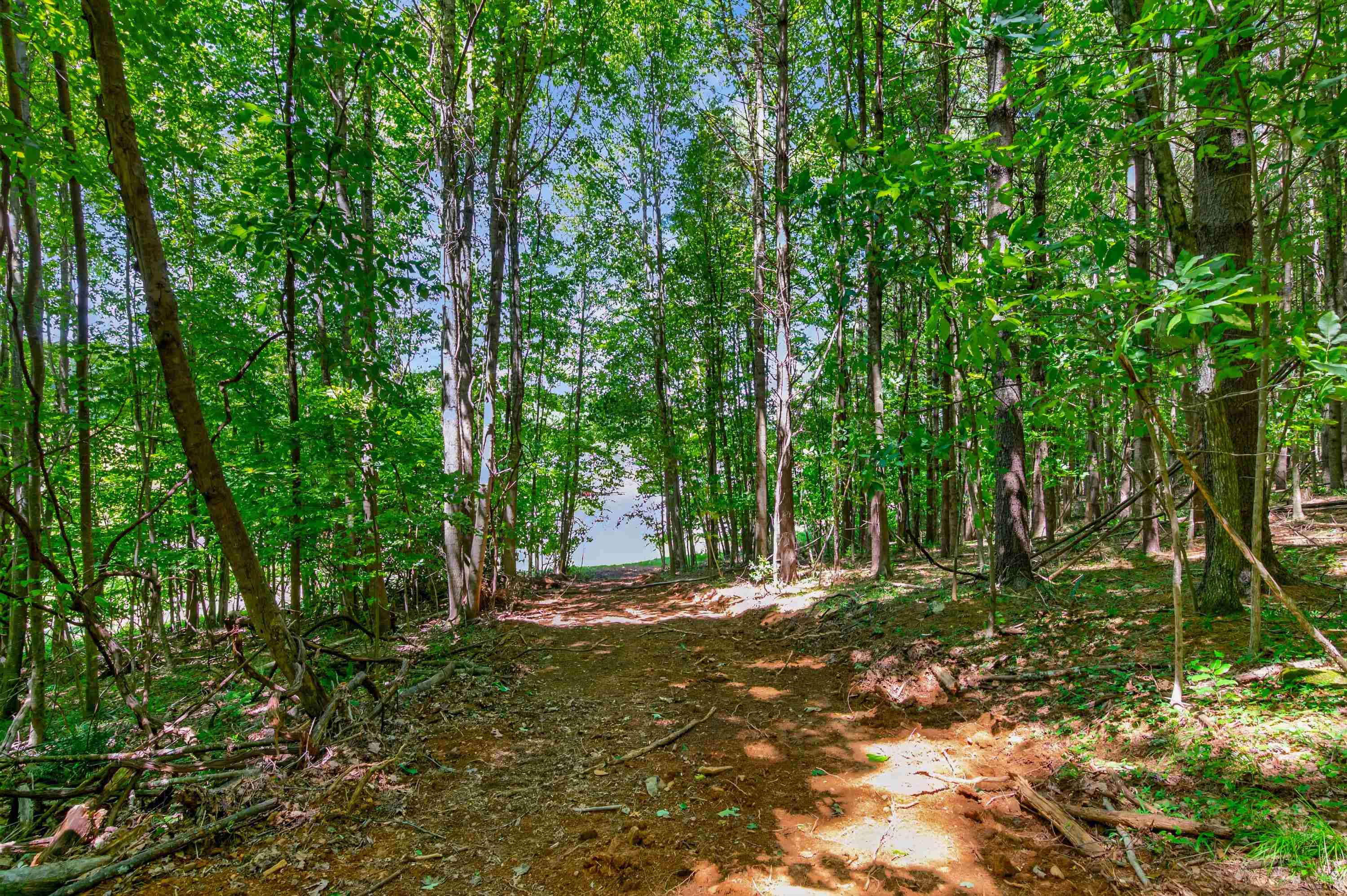 6196 Chances Creek Road Fancy Gap VA 24328