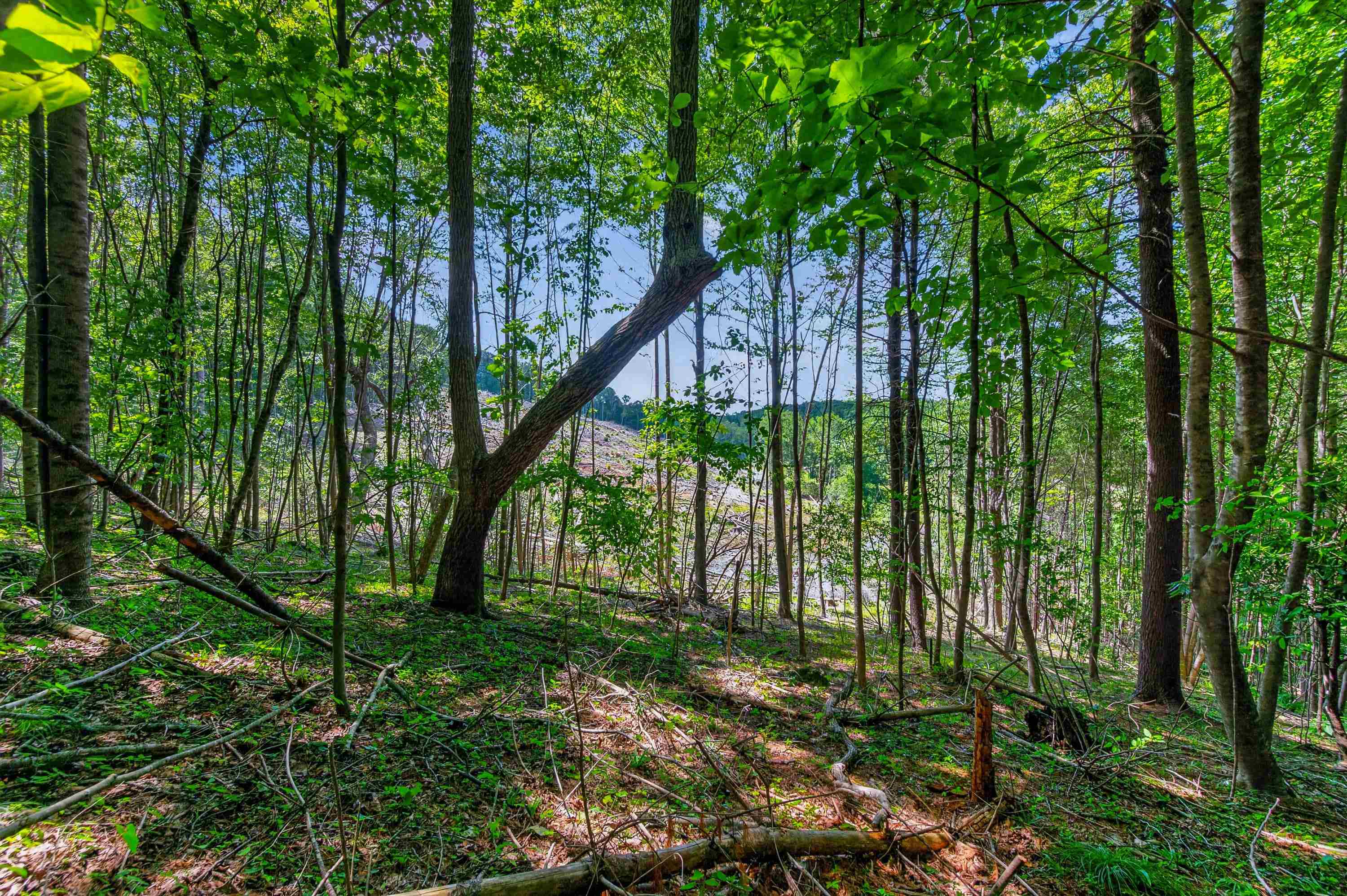 6196 Chances Creek Road Fancy Gap VA 24328