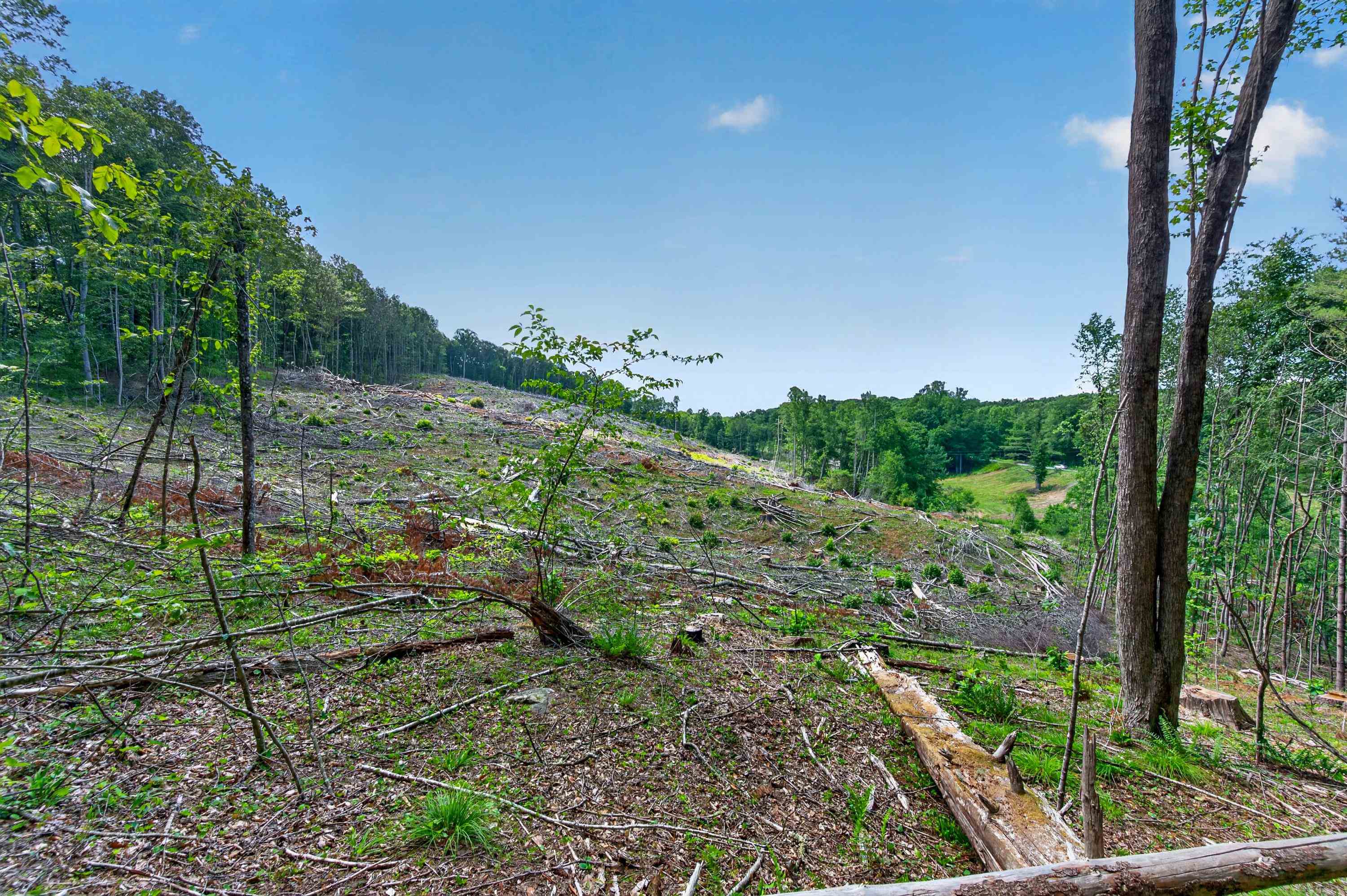 6196 Chances Creek Road Fancy Gap VA 24328