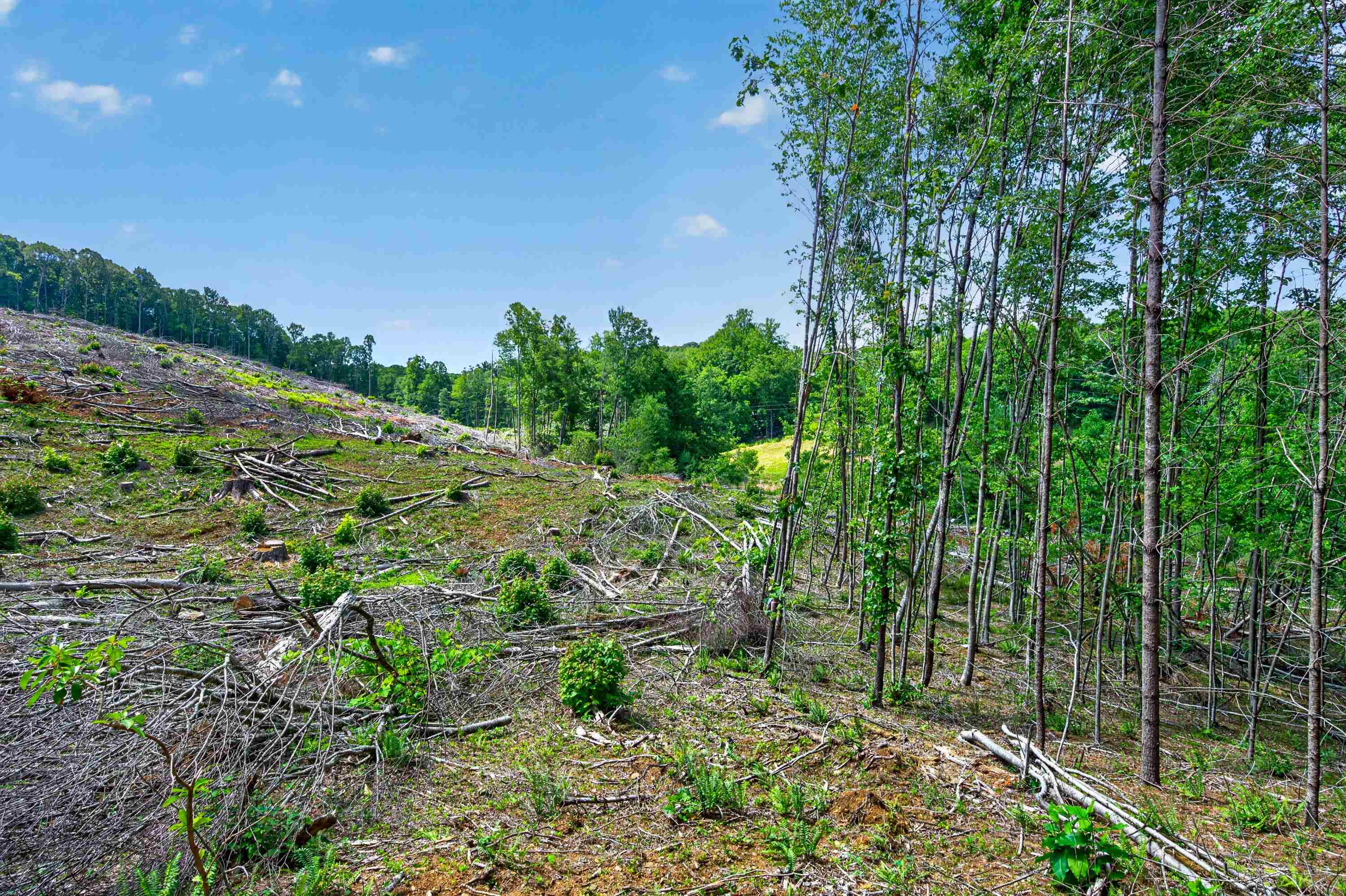 6196 Chances Creek Road Fancy Gap VA 24328