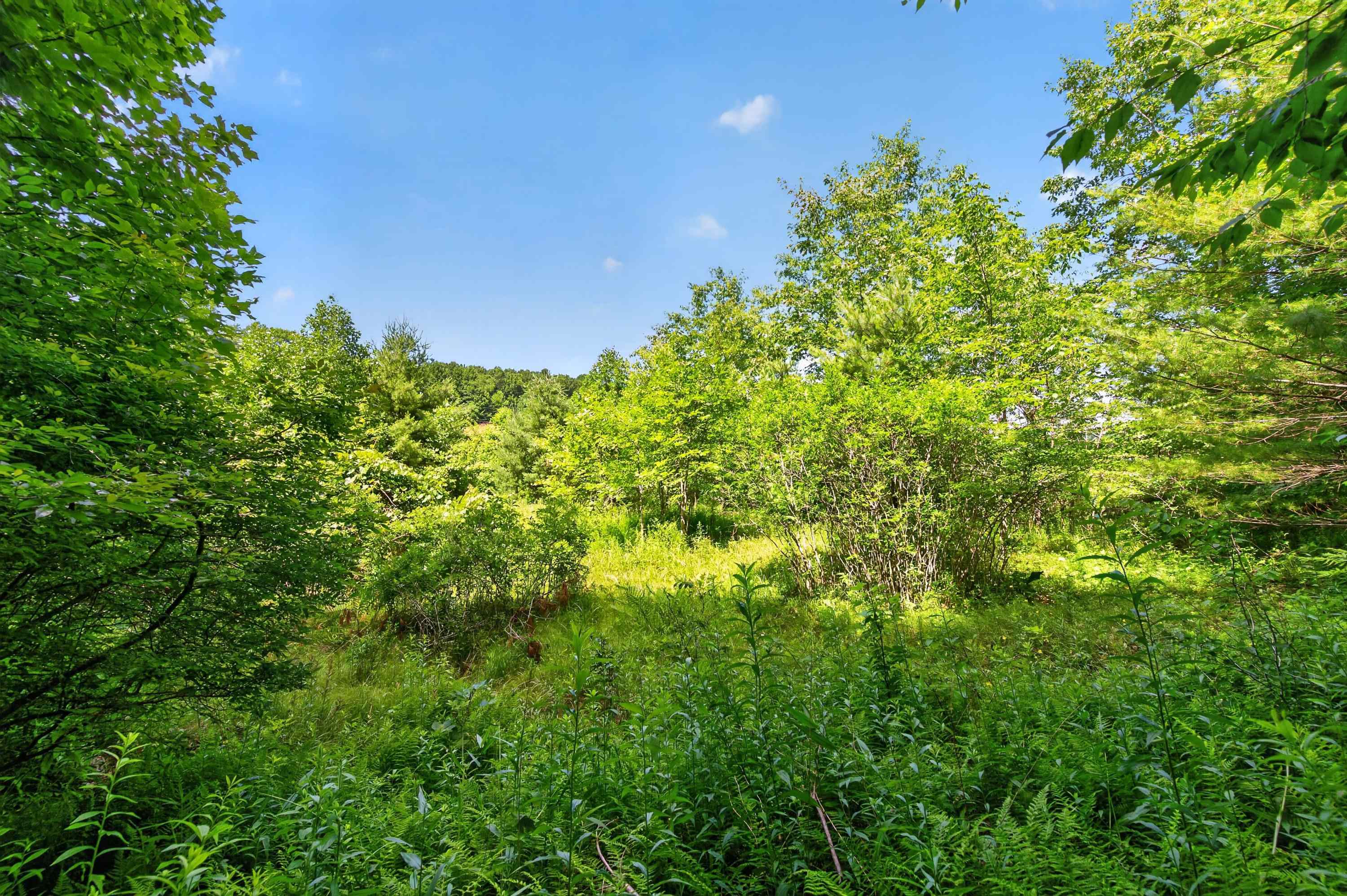 6196 Chances Creek Road Fancy Gap VA 24328