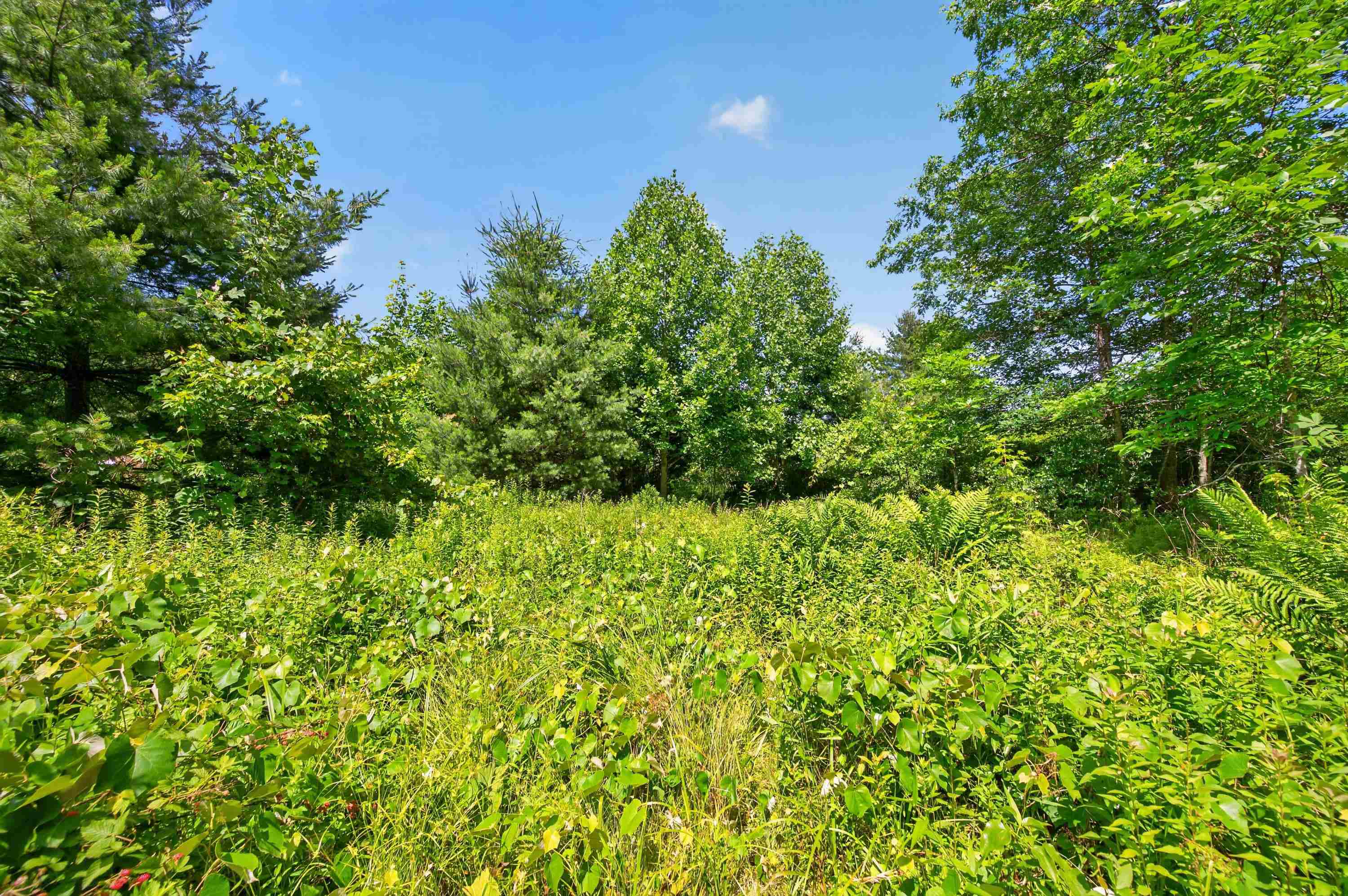 6196 Chances Creek Road Fancy Gap VA 24328