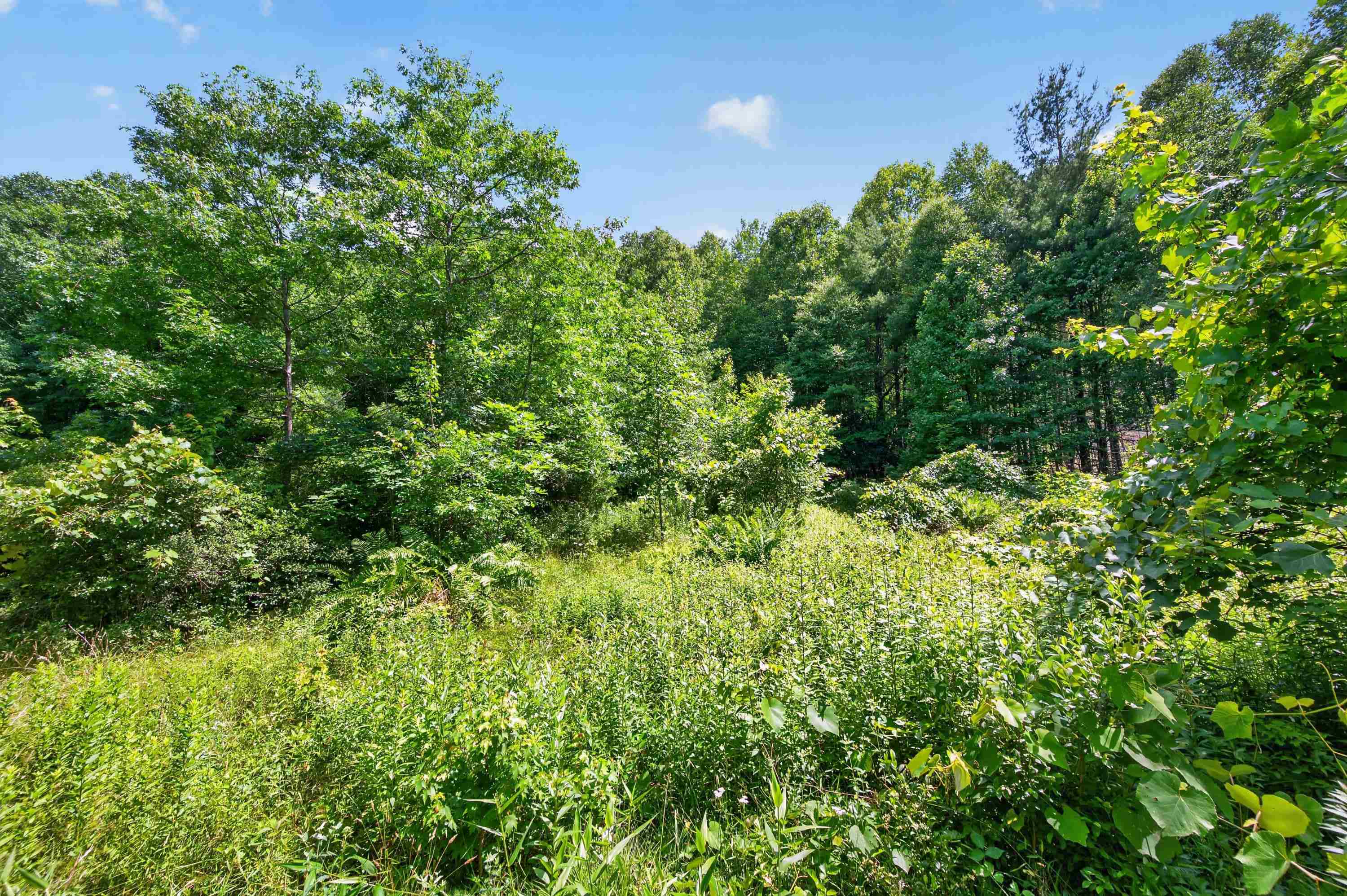 6196 Chances Creek Road Fancy Gap VA 24328