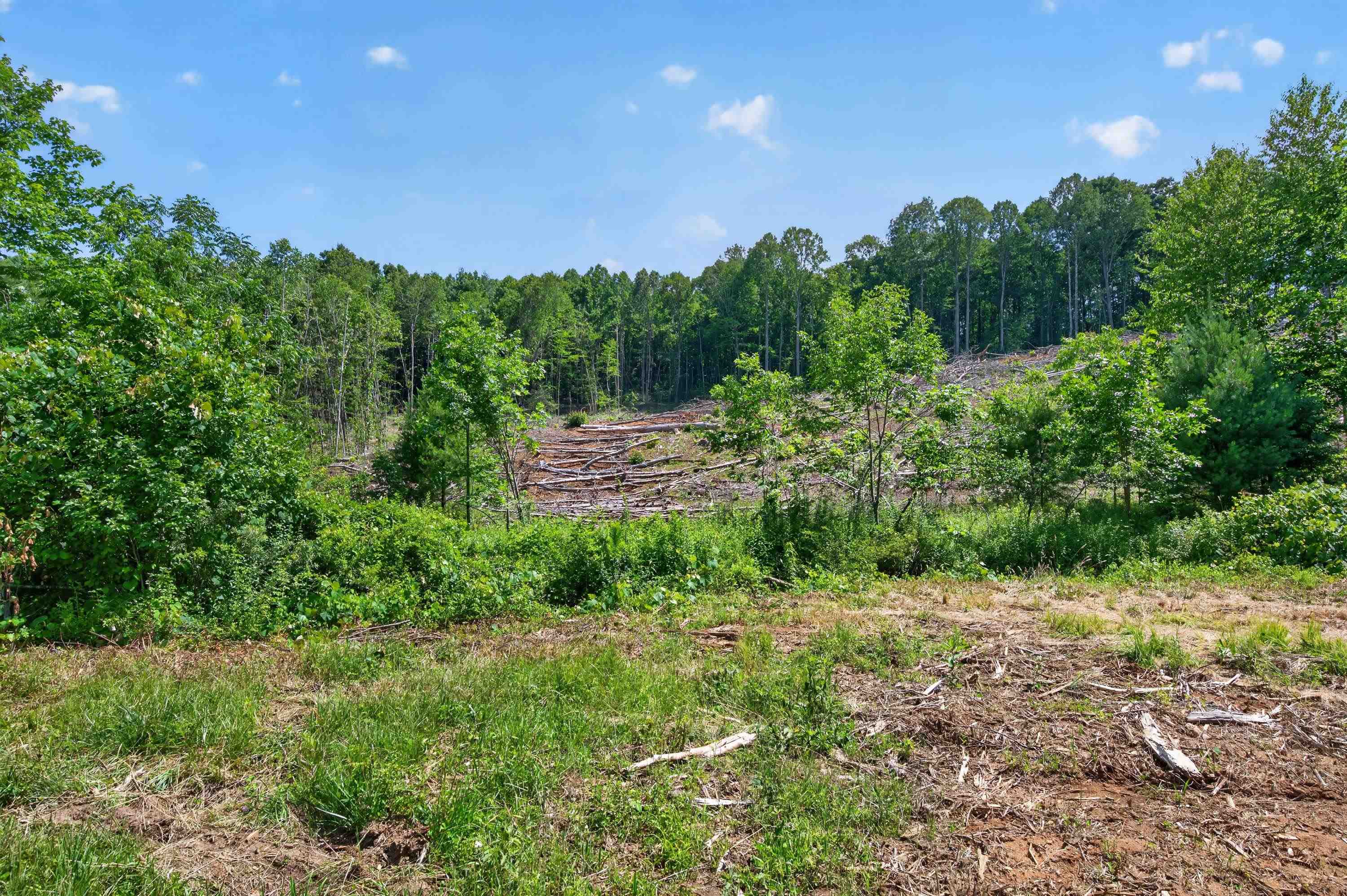 6196 Chances Creek Road Fancy Gap VA 24328