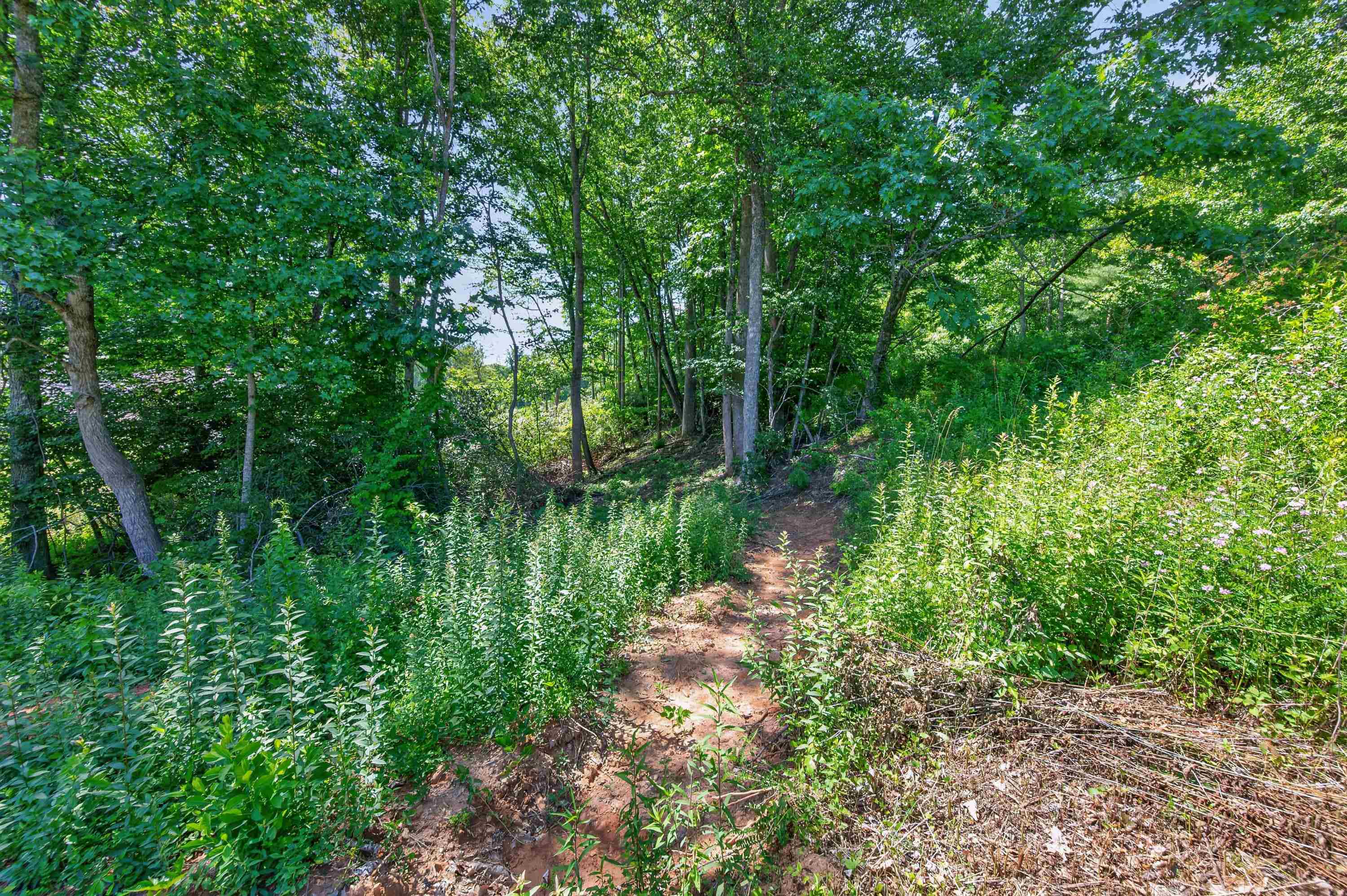 6196 Chances Creek Road Fancy Gap VA 24328