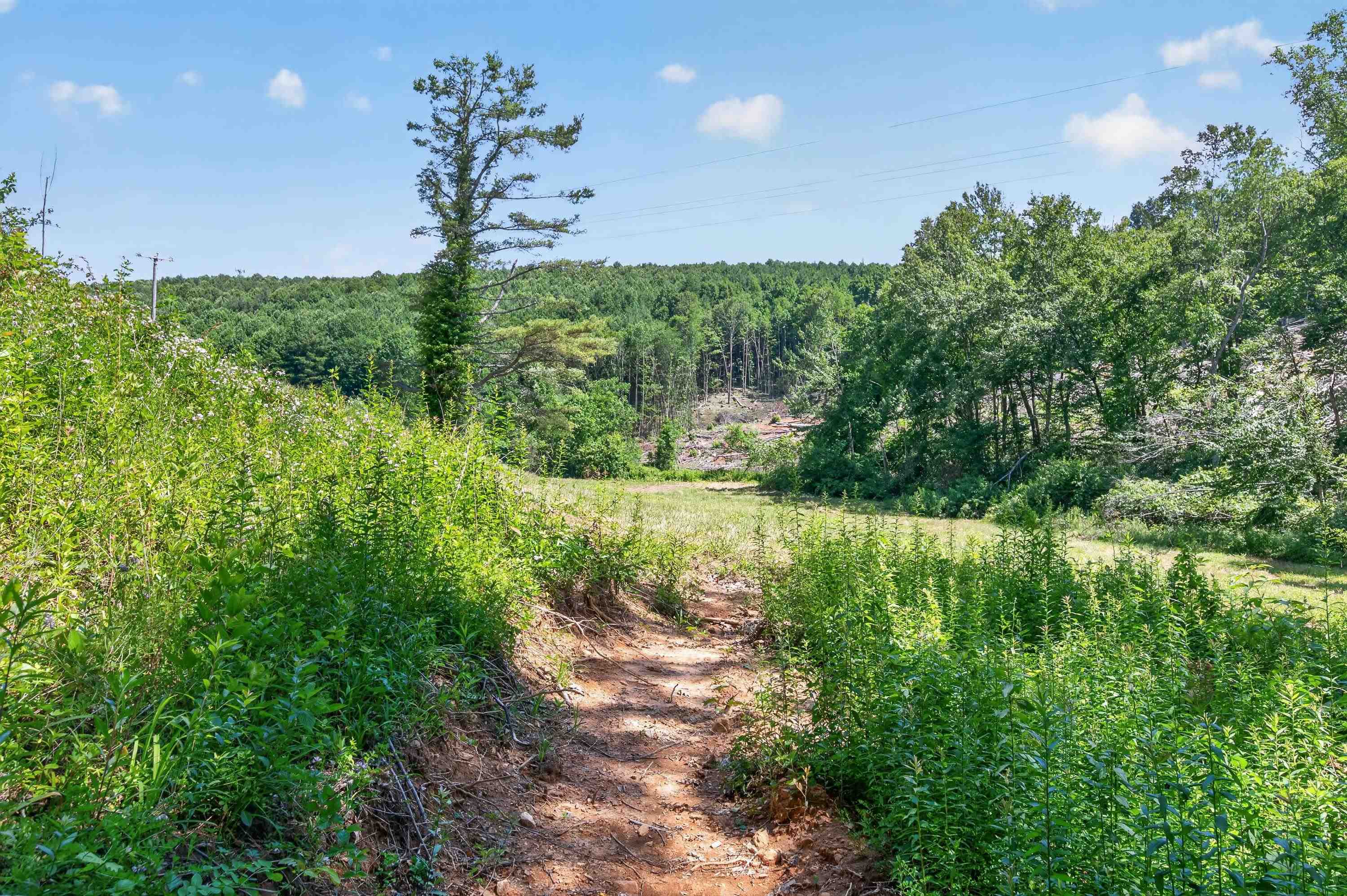 6196 Chances Creek Road Fancy Gap VA 24328
