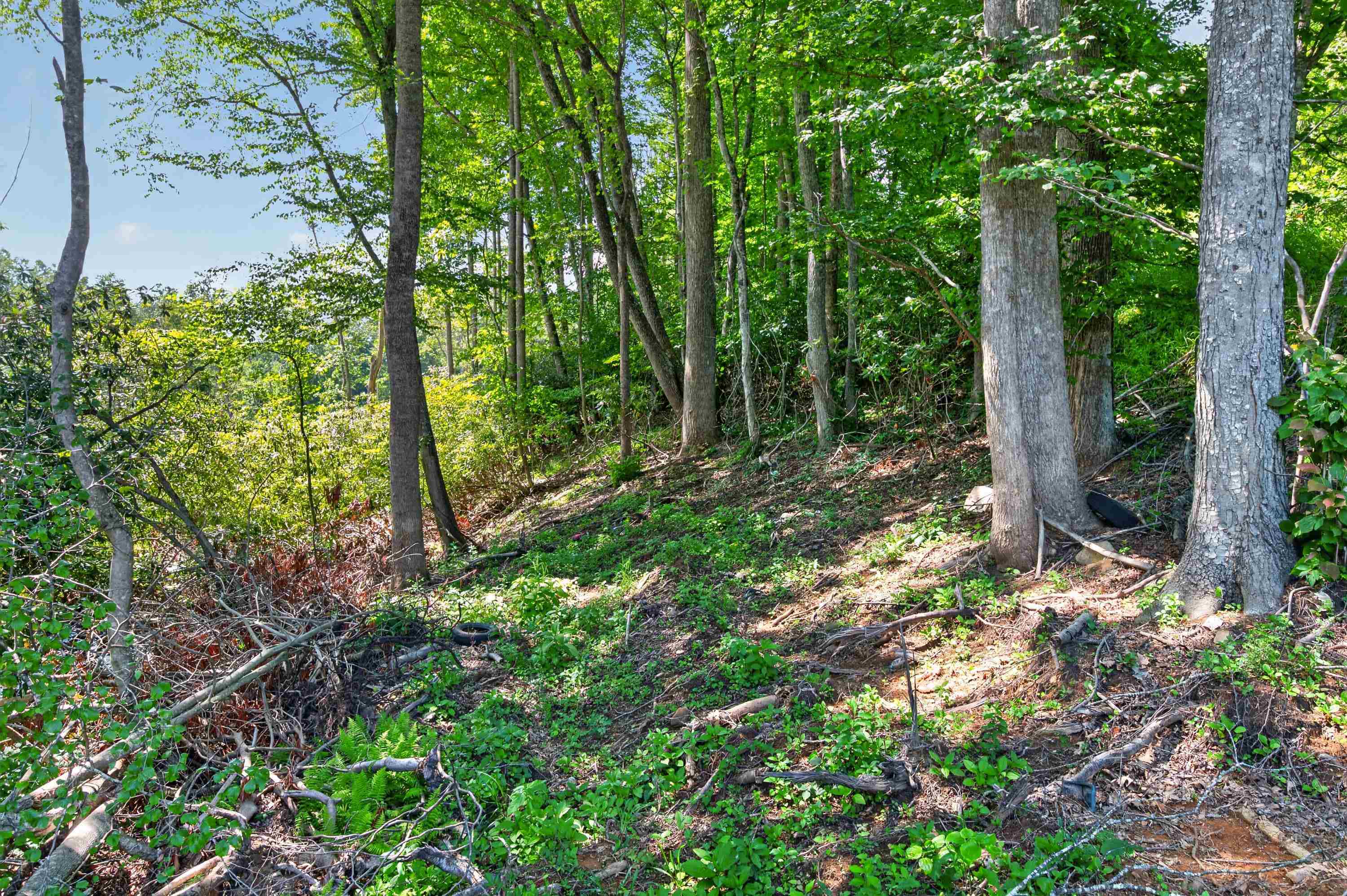 6196 Chances Creek Road Fancy Gap VA 24328