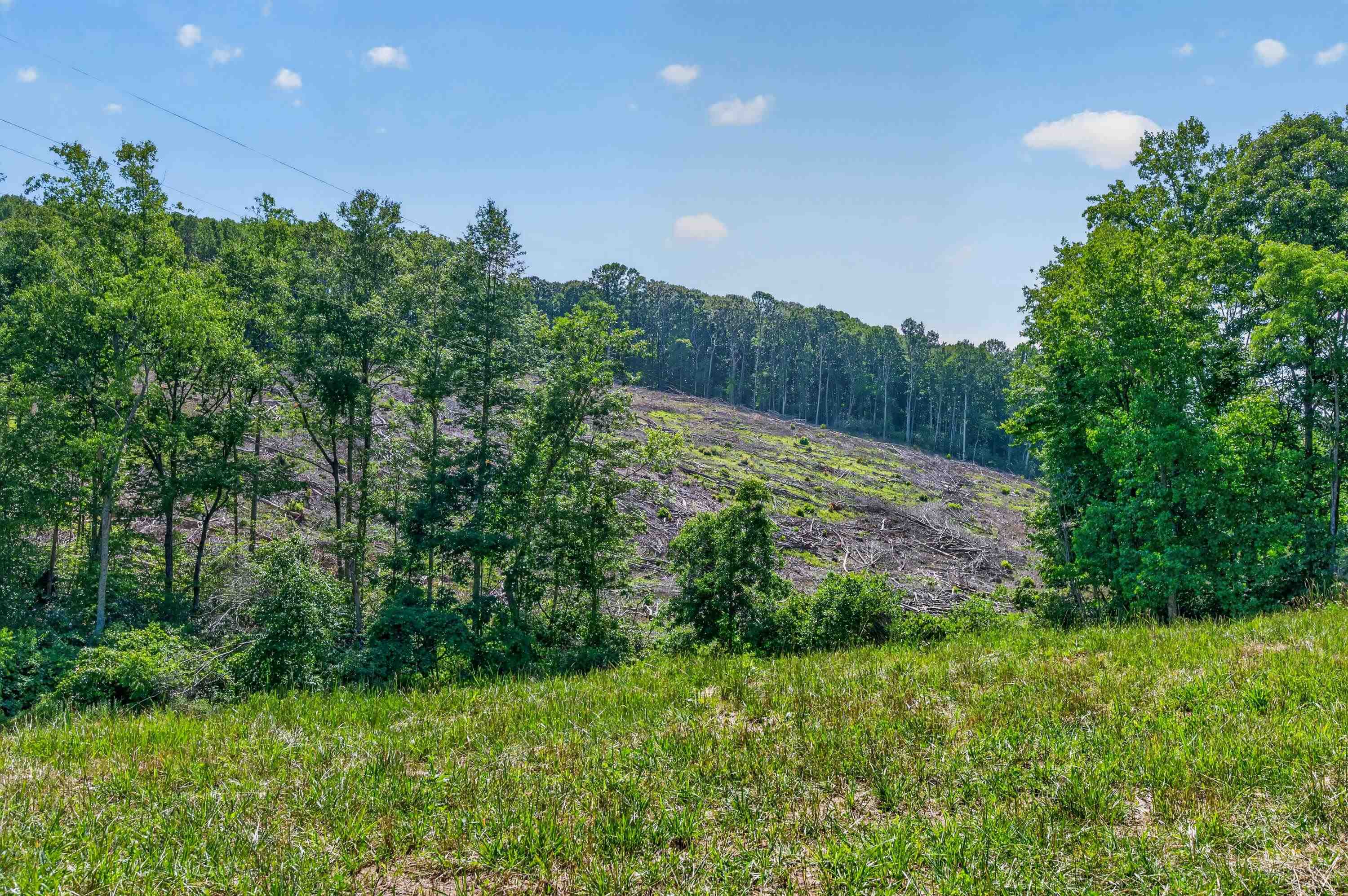 6196 Chances Creek Road Fancy Gap VA 24328