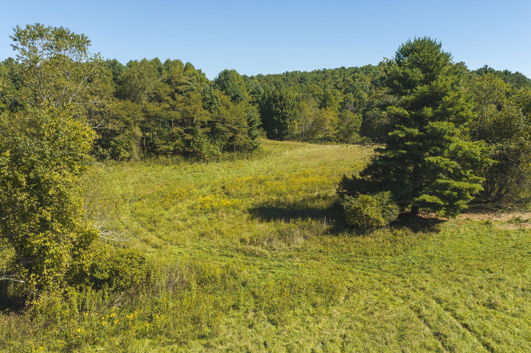 10568 Bottom Creek Road Bent Mountain VA 24059